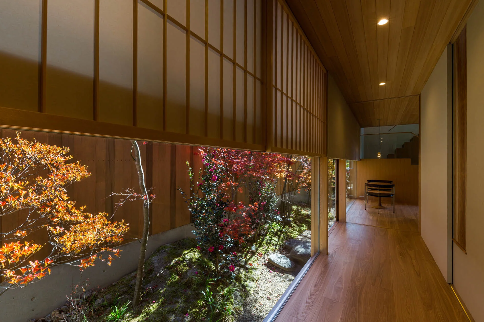 A minimalist wood-paneled hallway features a low glass window looking out onto a courtyard garden with moss and small maple trees.