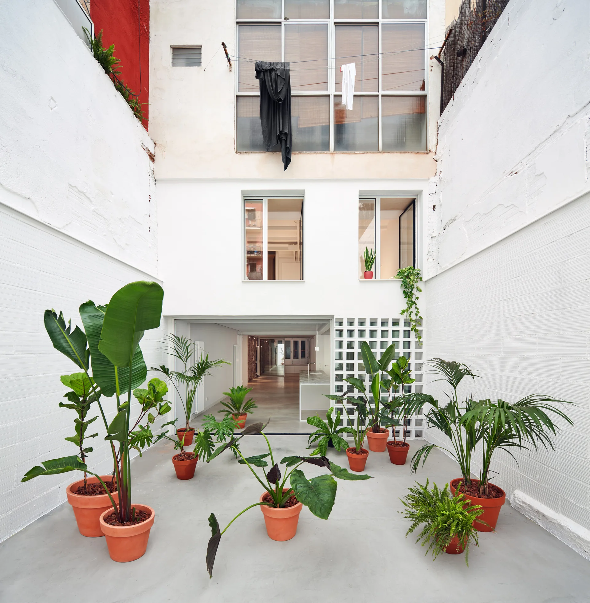 An enclosed white courtyard with a grey concrete floor, numerous green plants in terracotta pots, and a white breezeblock partition.