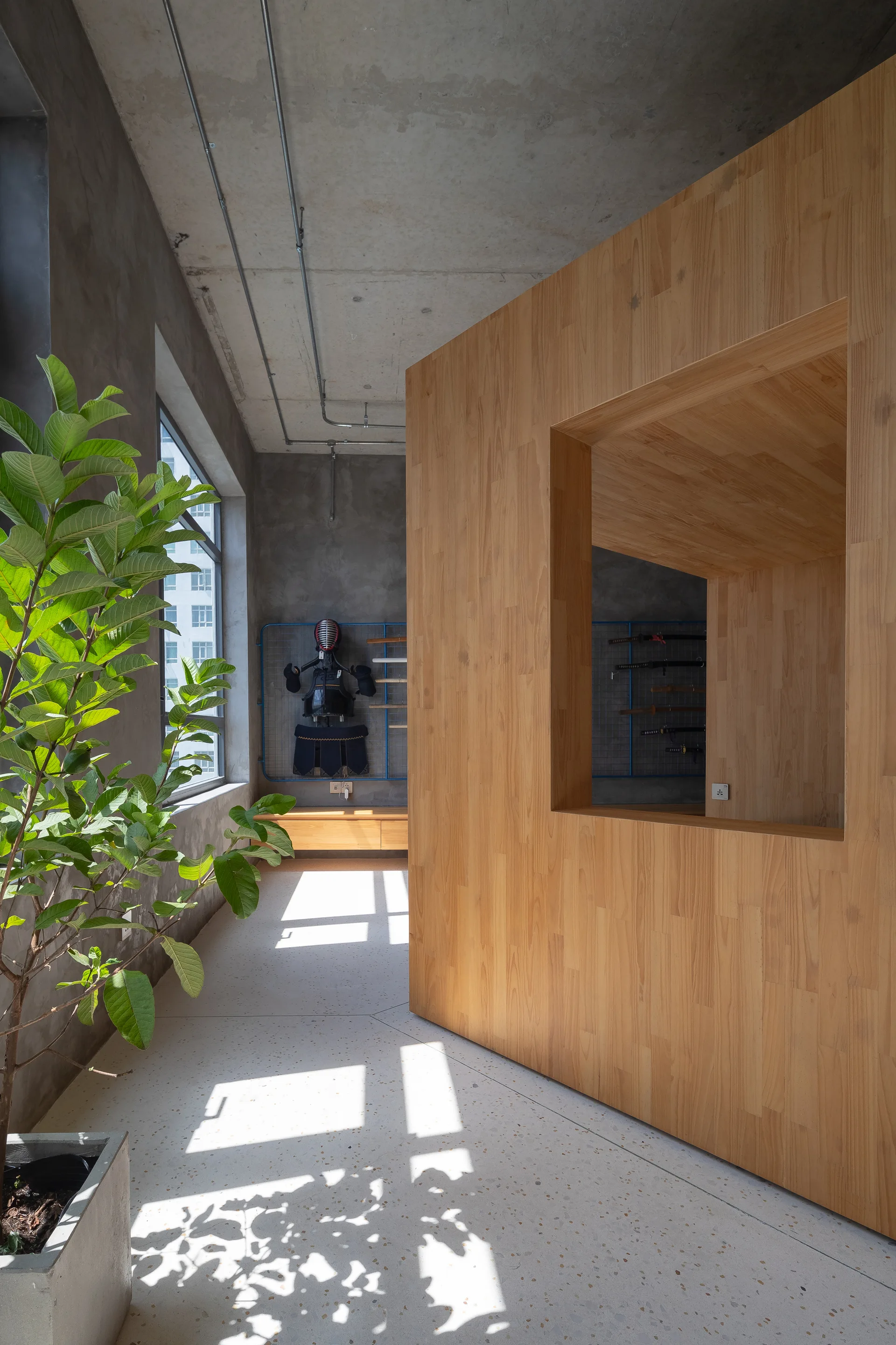 A light wood box-like partition stands inside a raw concrete room with terrazzo flooring, a green plant, and kendo gear displayed on a back wall.