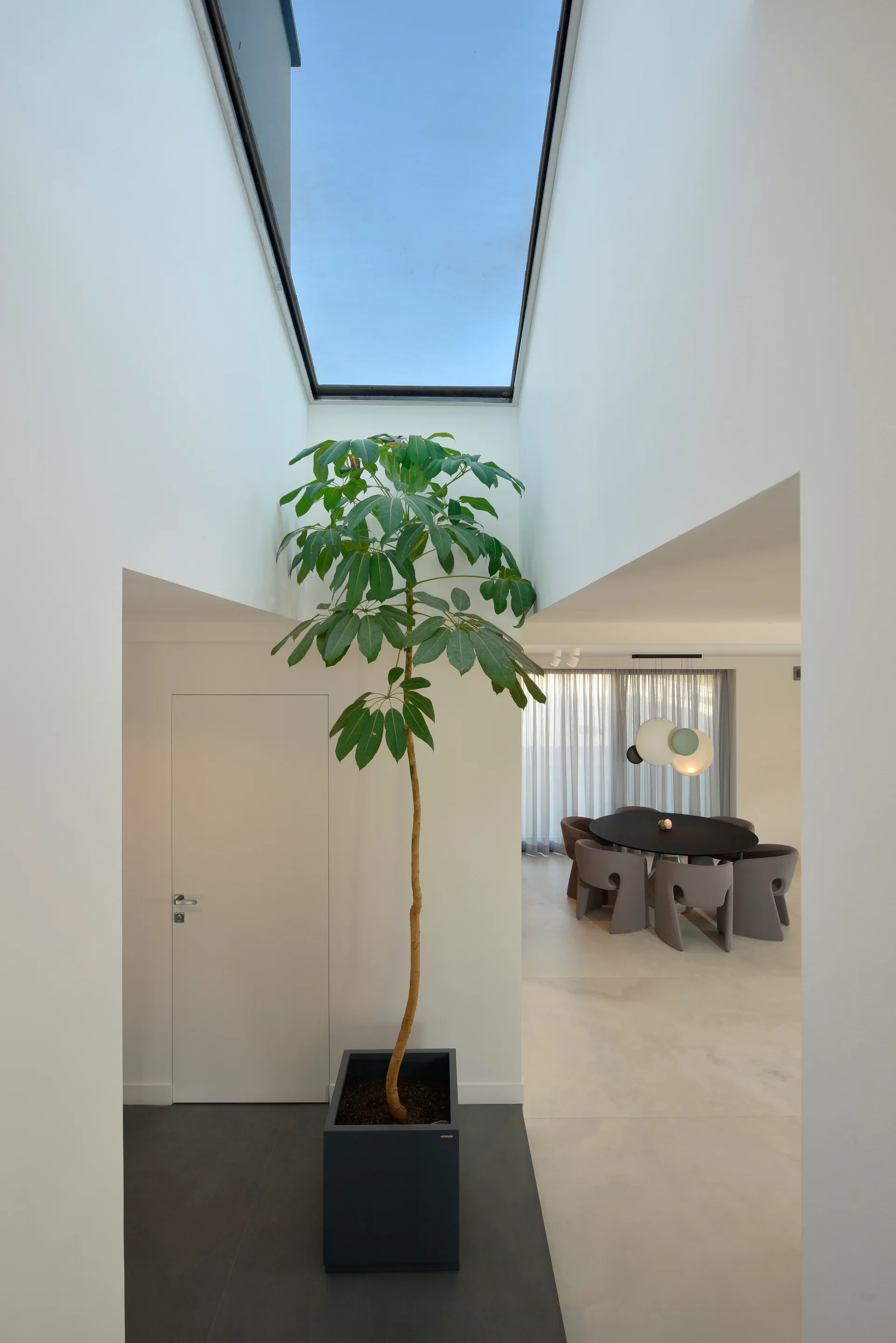A tall potted plant stands directly under a large skylight in a minimalist white entryway leading to a modern dining room.