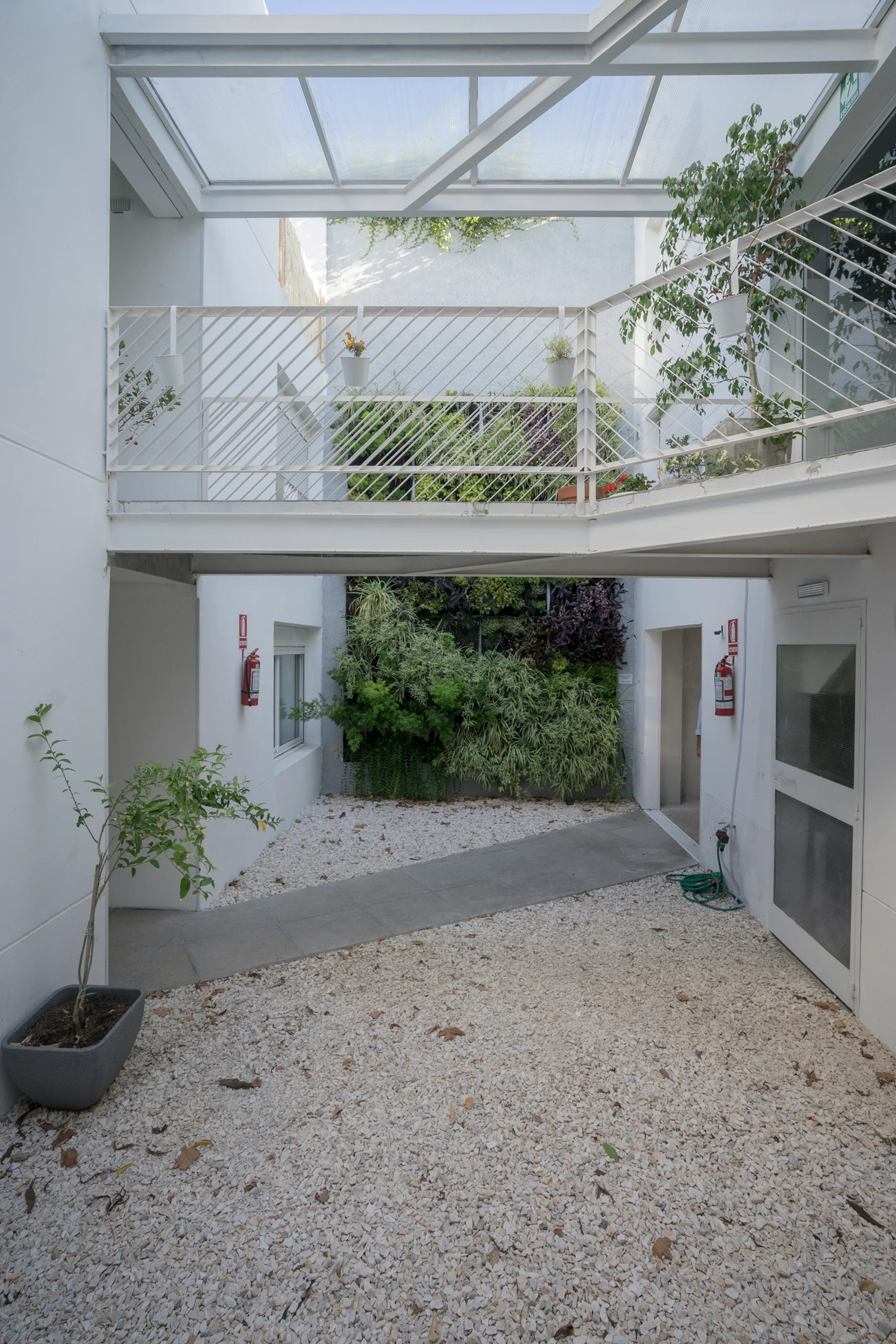 A minimalist white courtyard featuring a gravel floor, a concrete path, a lush vertical garden wall, and an overhead pedestrian bridge.