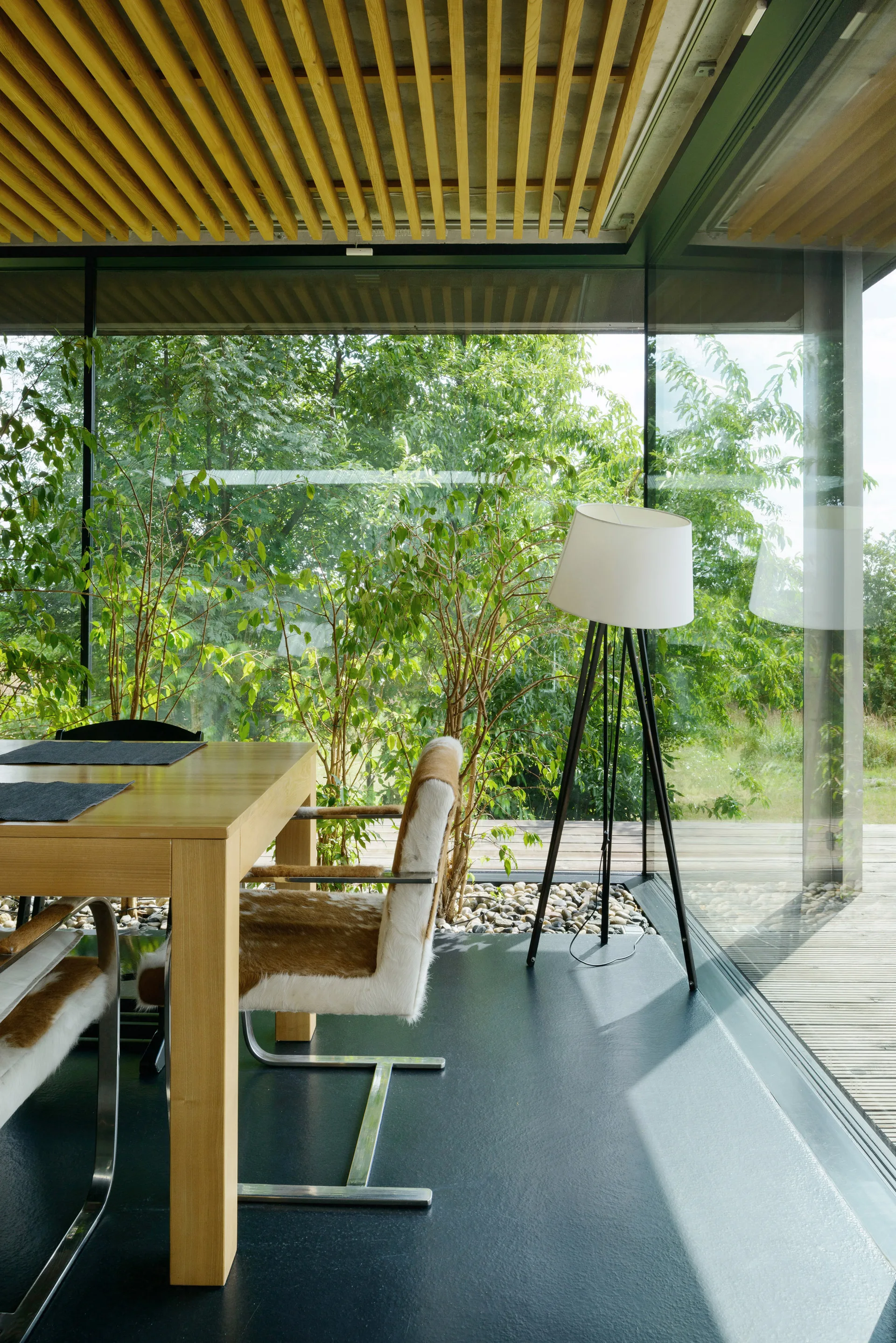 A modern dining room features a light wood table, cantilever chairs with cowhide upholstery, and a wood slat ceiling next to floor-to-ceiling glass walls.
