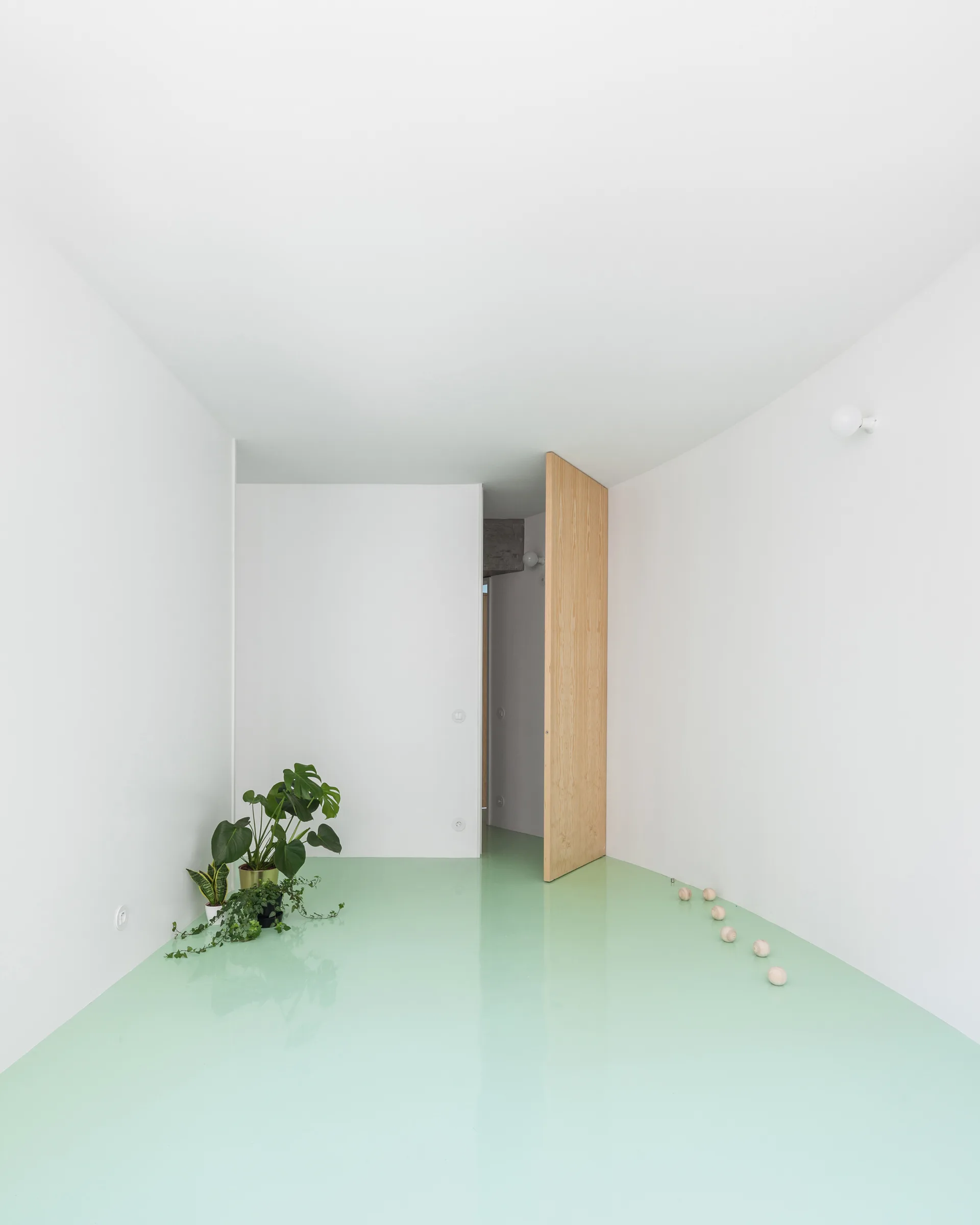 A minimalist white room features a glossy mint green floor, a light wood door left slightly open, and potted green plants in the corner.