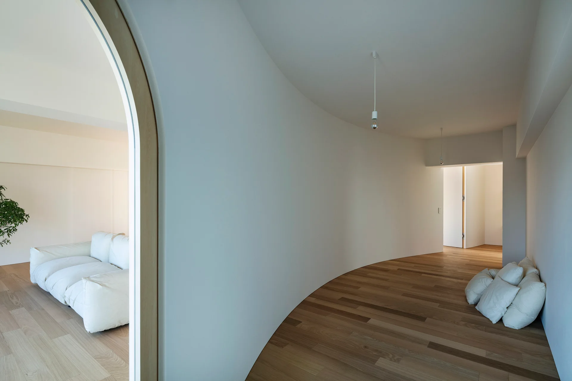 A minimalist hallway features a prominent curved white wall, light wood plank flooring, and a wood-trimmed archway leading to a white sofa.