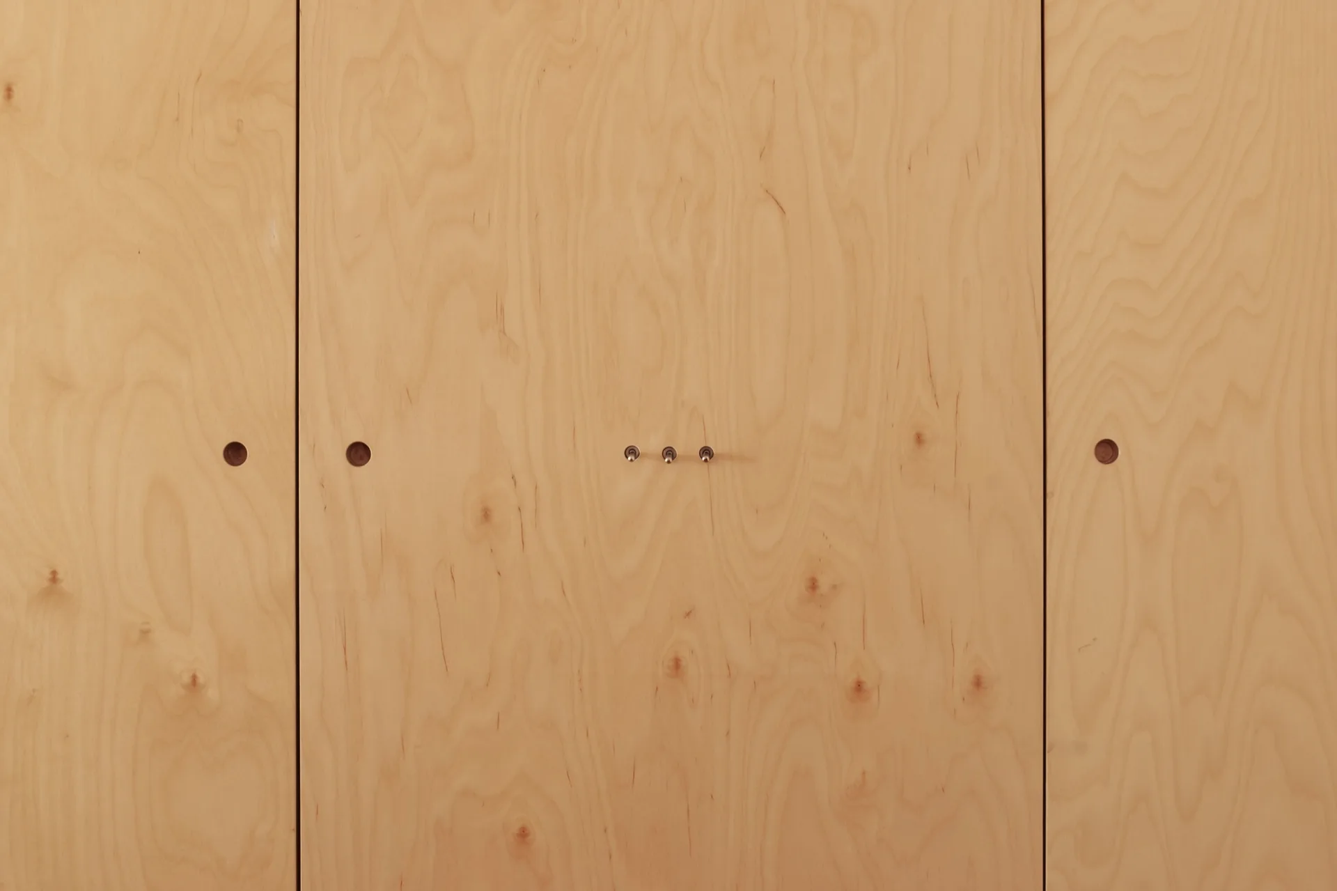 A close-up of light-colored plywood cabinet doors with vertical wood grain, circular cut-out handles, and small metal toggle switches.