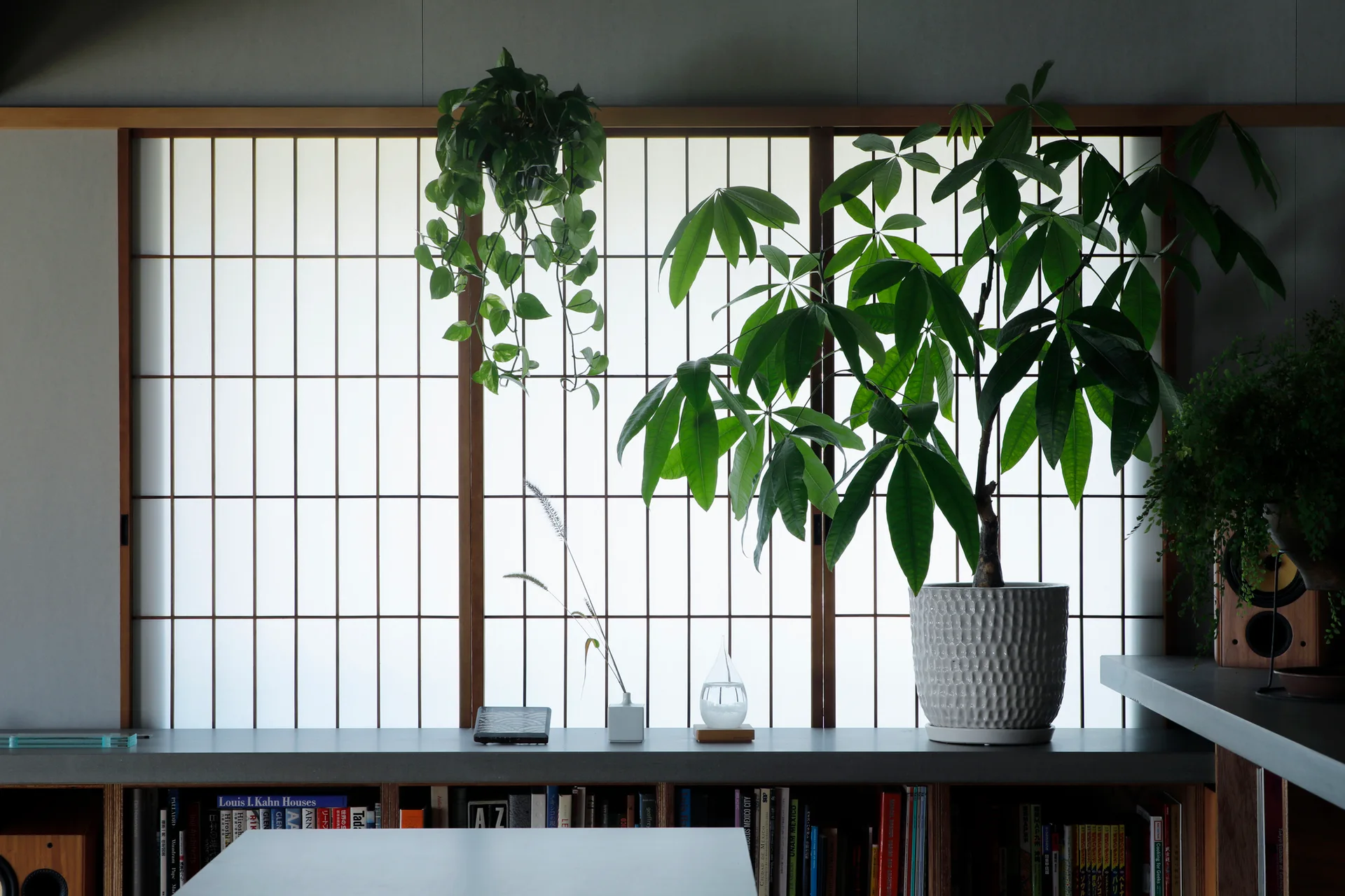 A backlit shoji screen window sits above a concrete ledge featuring potted green plants, minimalist decor, and built-in bookshelves below.