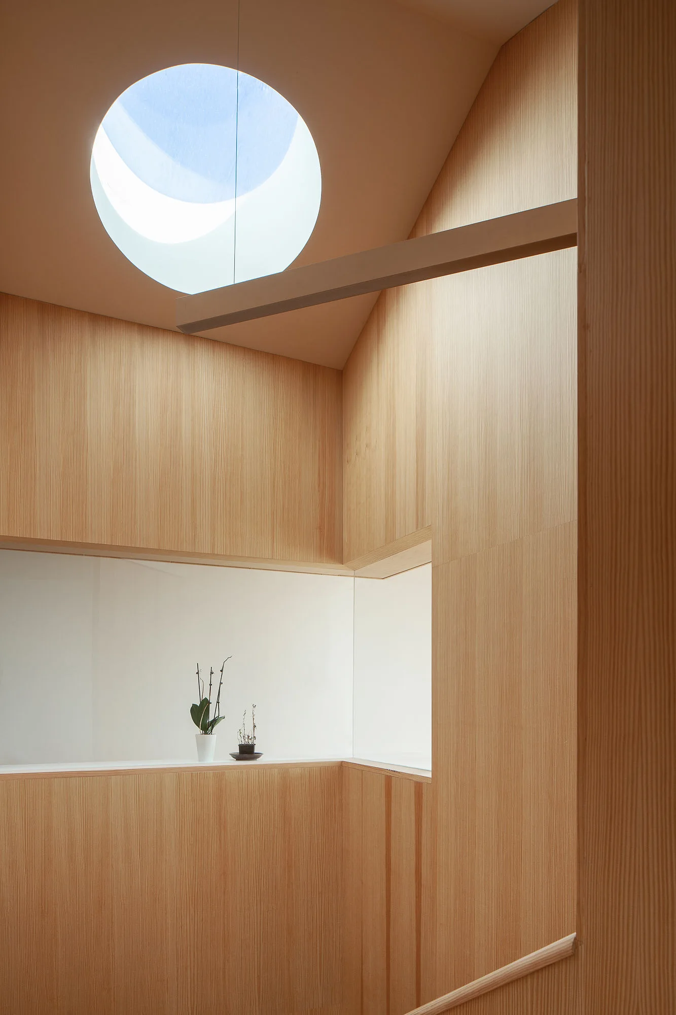 An interior space featuring vertical light wood wall paneling, a large circular ceiling skylight, and a small horizontal ledge with two tiny potted plants.