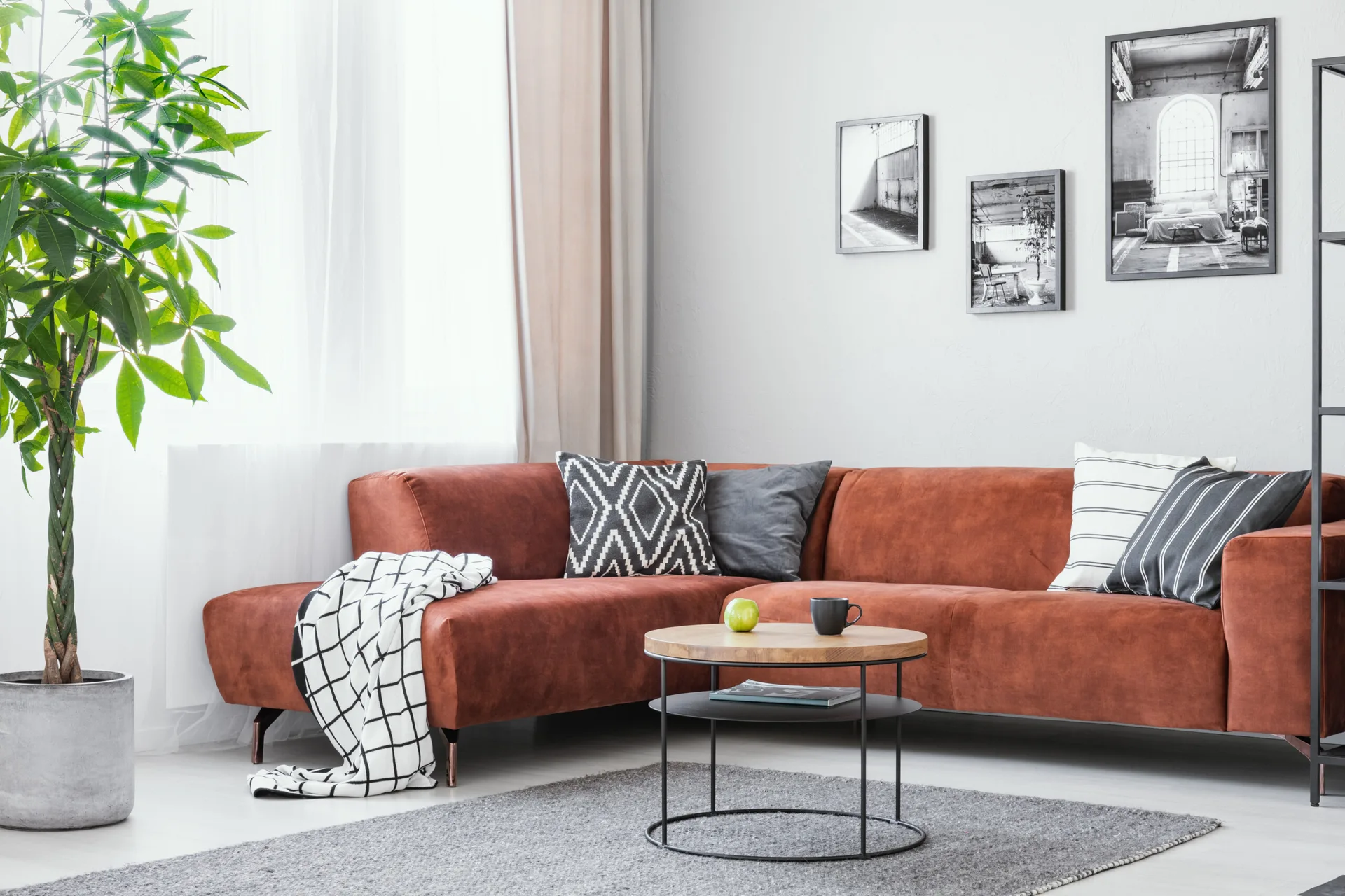 A living room features a rust-colored corner sofa styled with patterned throw pillows, a round wooden coffee table, and a tall potted plant.