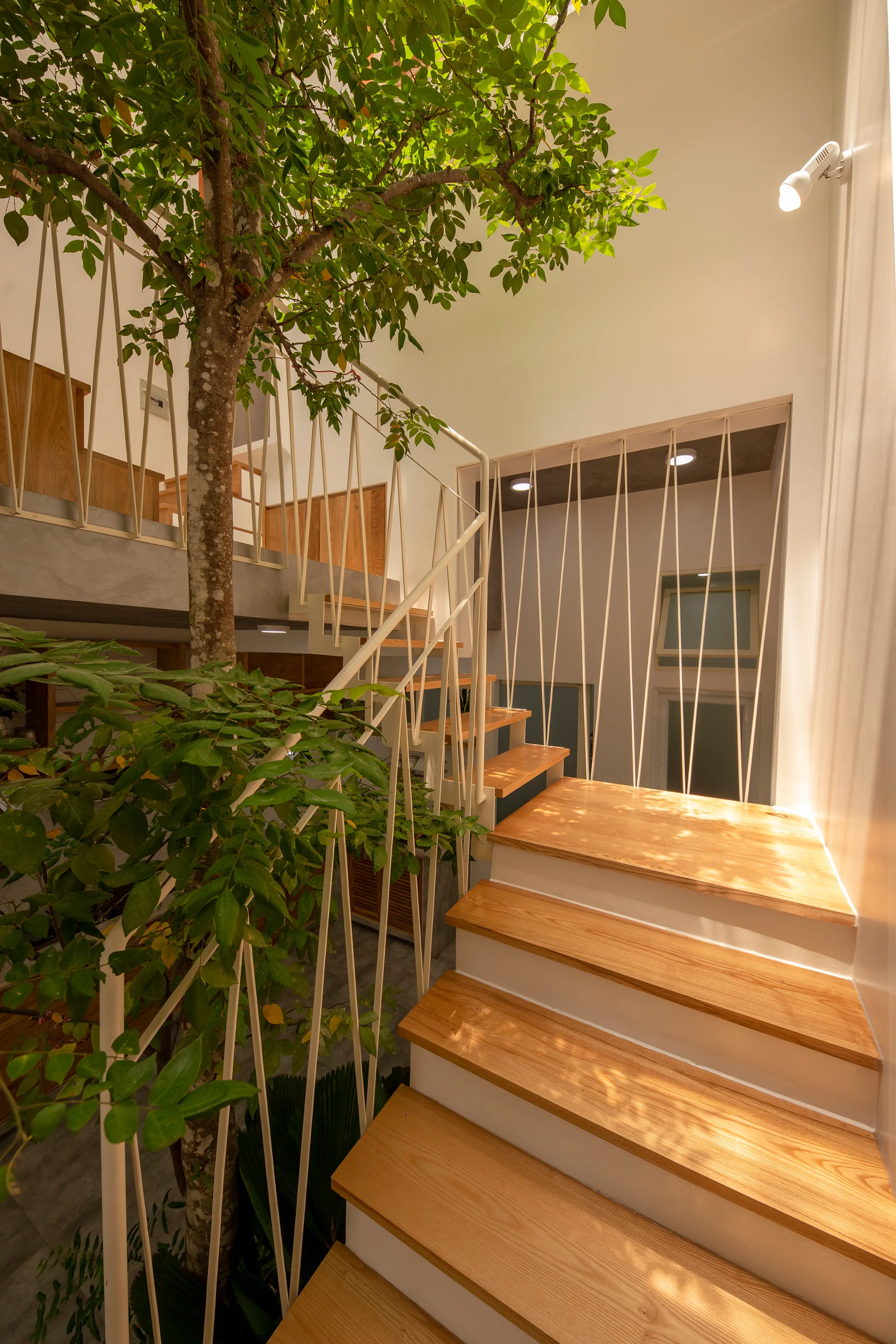 A modern interior staircase features light wood steps, angled white metal railings, and a living tree growing alongside the multi-level structure.