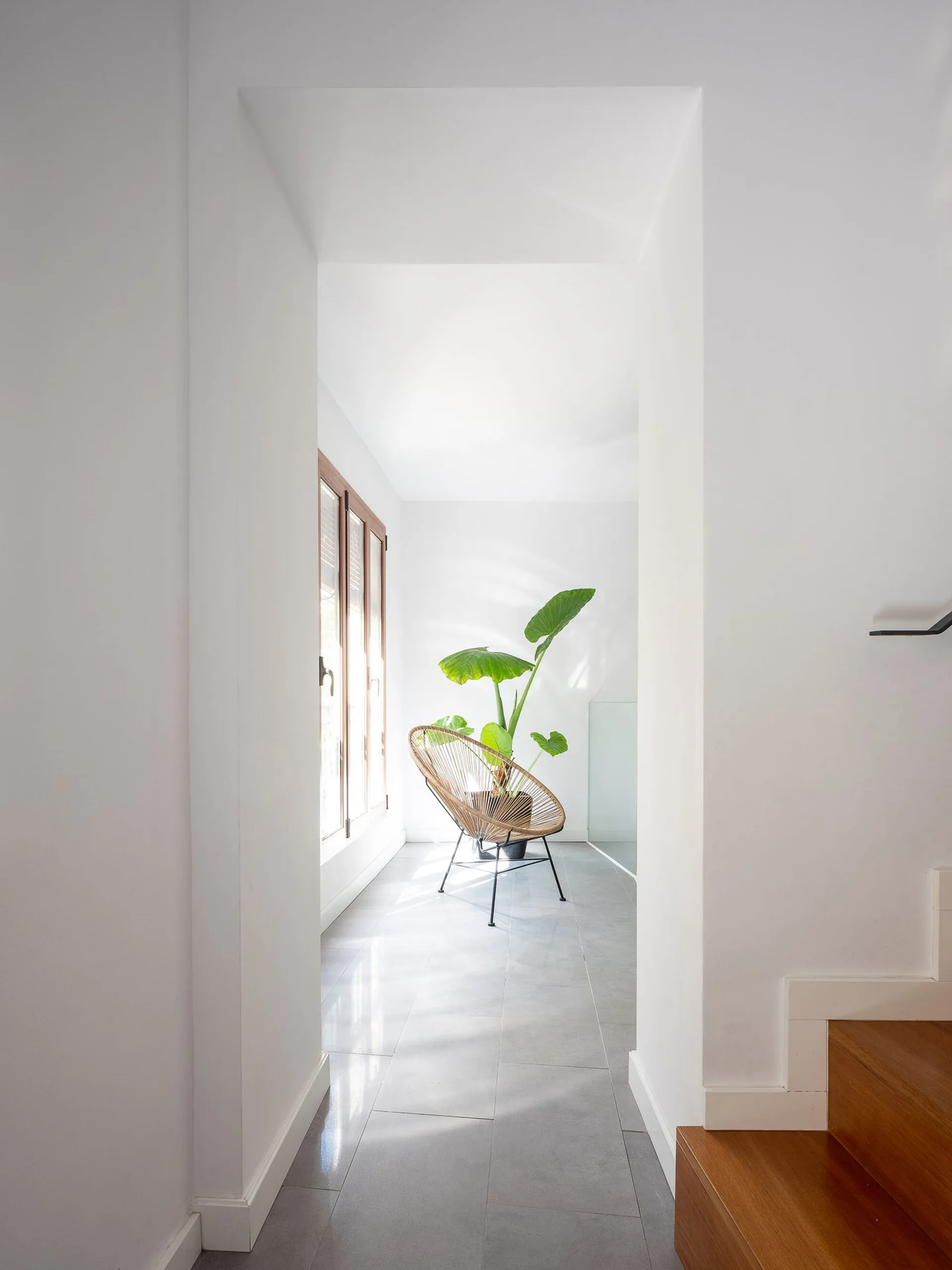 A sunlit minimalist landing area viewed through an archway, featuring a round wicker chair, a tall potted plant, and wood-framed windows.