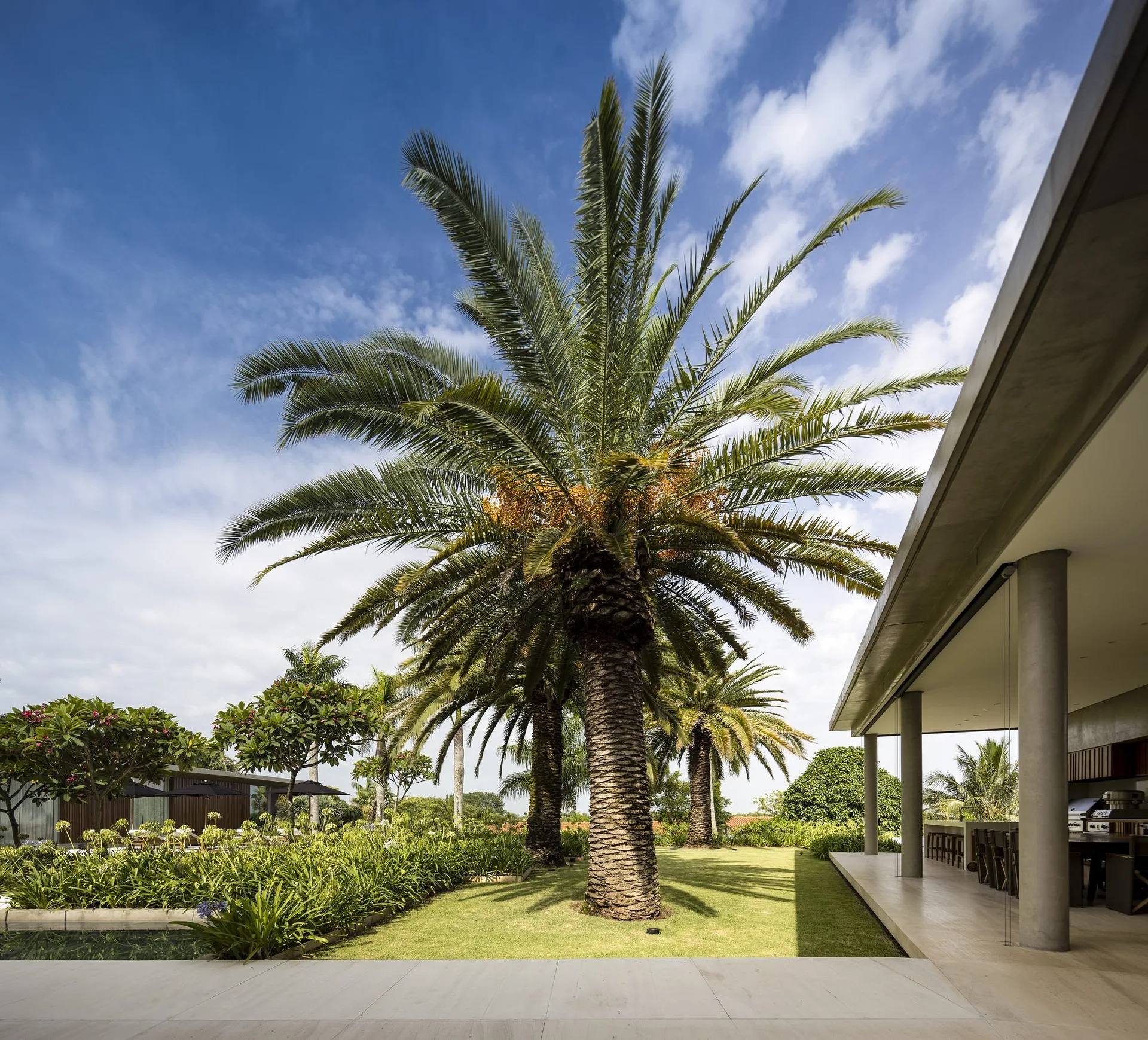 A covered concrete terrace with round columns sits adjacent to a manicured green lawn featuring several tall palm trees.