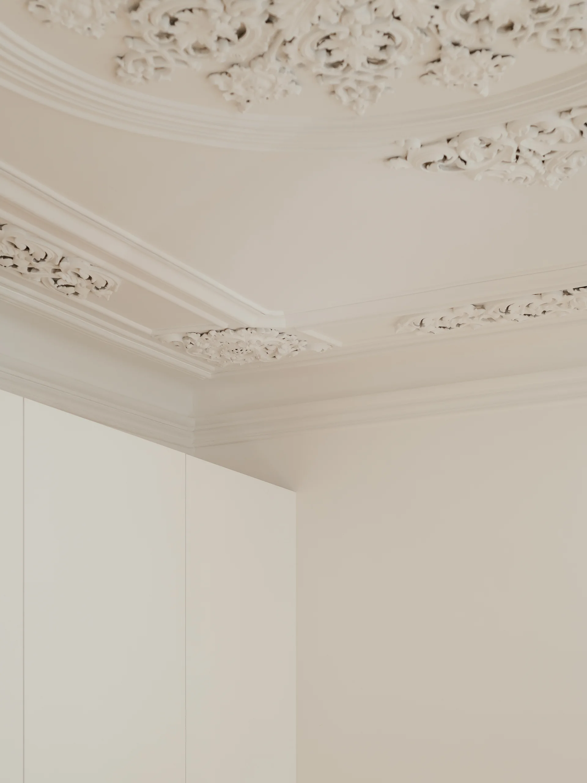 Intricate neoclassical white plaster crown molding and ceiling details set above modern flat-panel white cabinets.