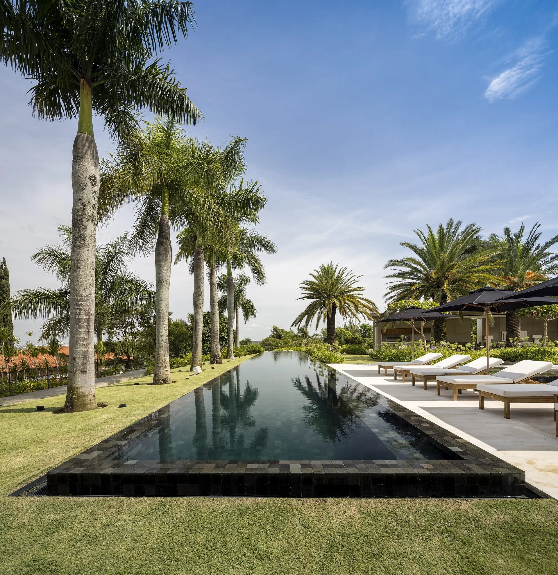 A long, narrow dark-tiled infinity pool bordered by a row of tall palm trees and a light stone deck with white lounge chairs and black umbrellas.