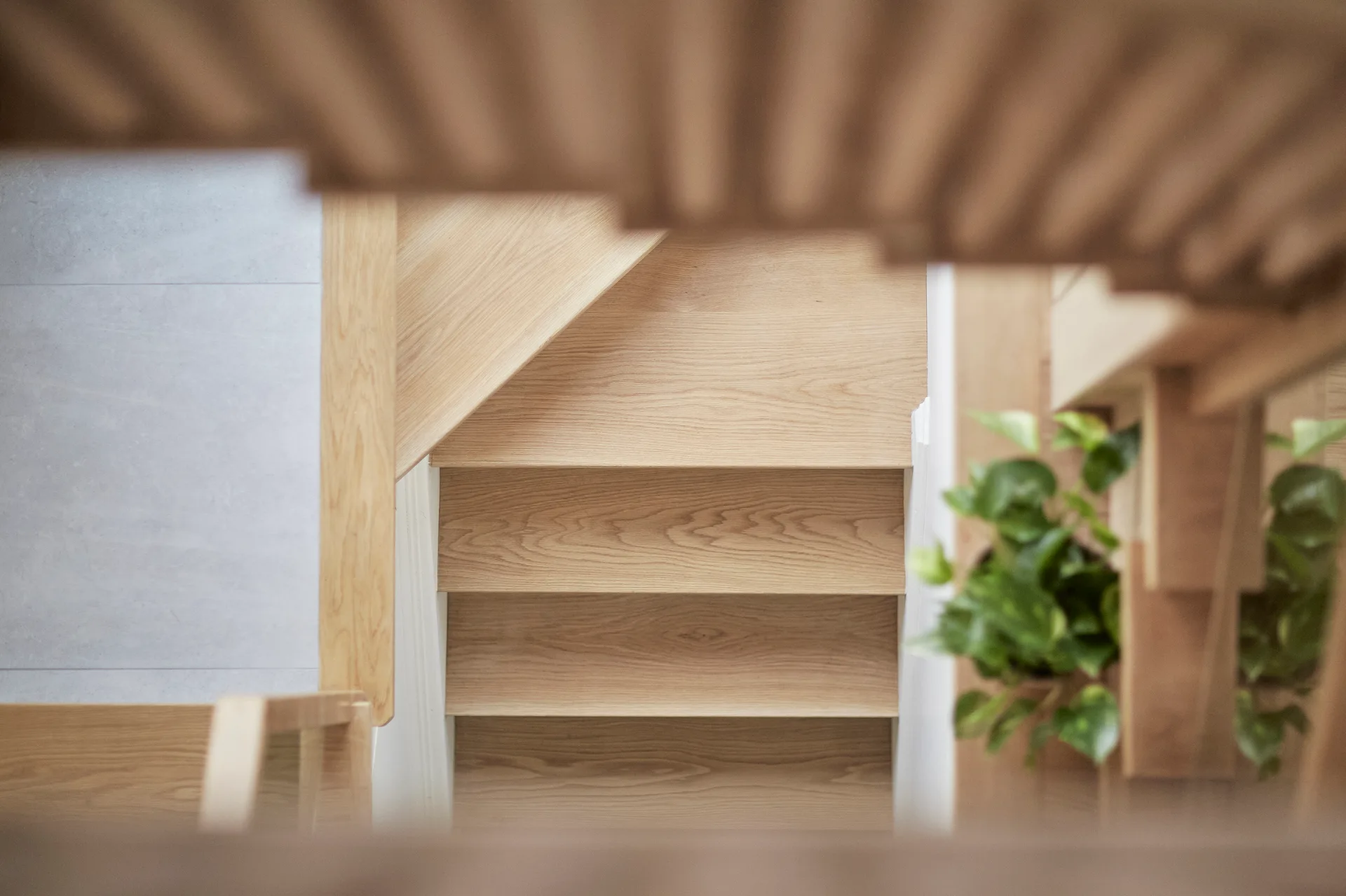 A top-down view of a light oak wooden staircase with matching handrails, a green potted plant, and a grey tile floor.