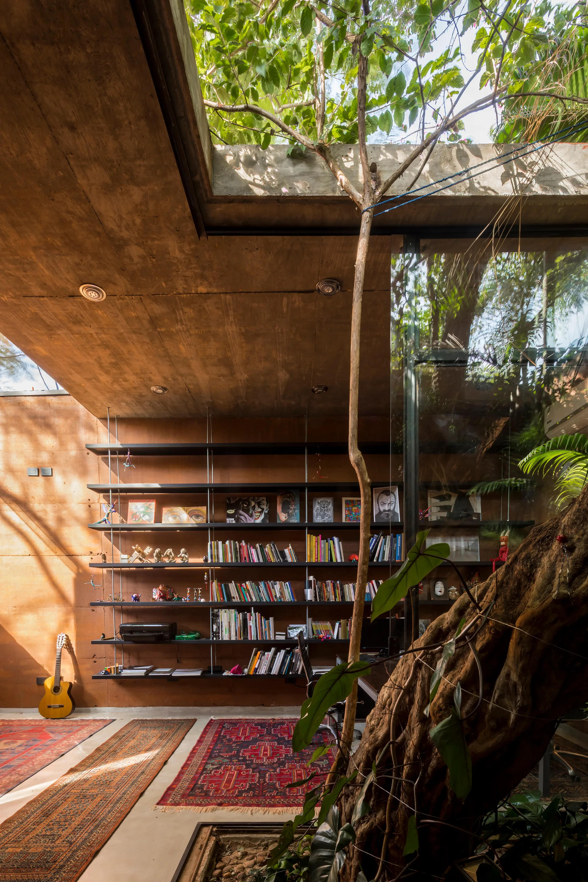An indoor library with rammed earth walls, open black shelves, and a live tree growing up through a concrete ceiling opening.