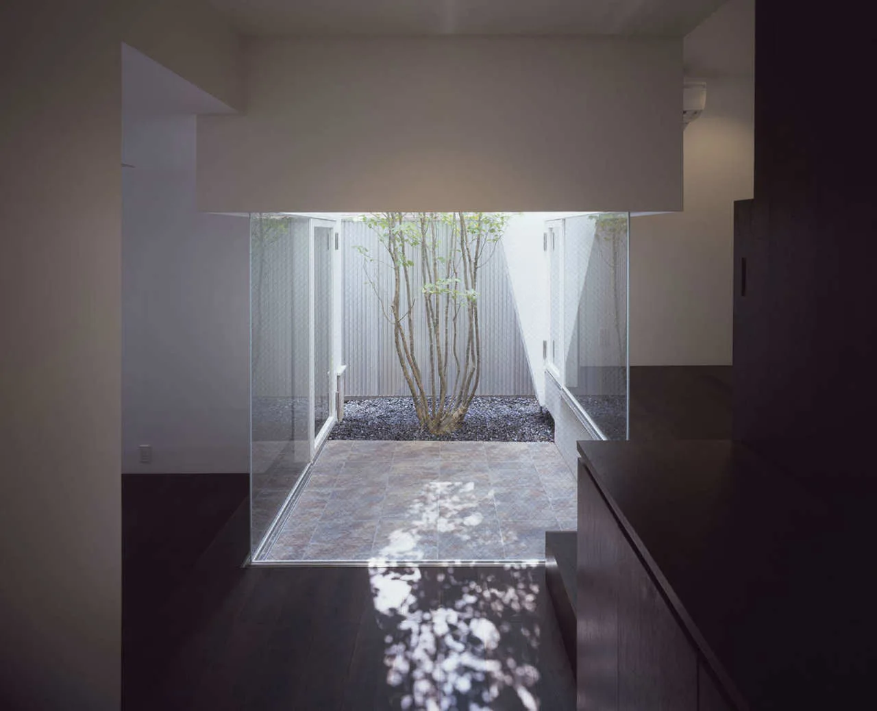 A view from a dark modern interior through glass walls into a minimalist enclosed courtyard with a single tree and grey gravel.
