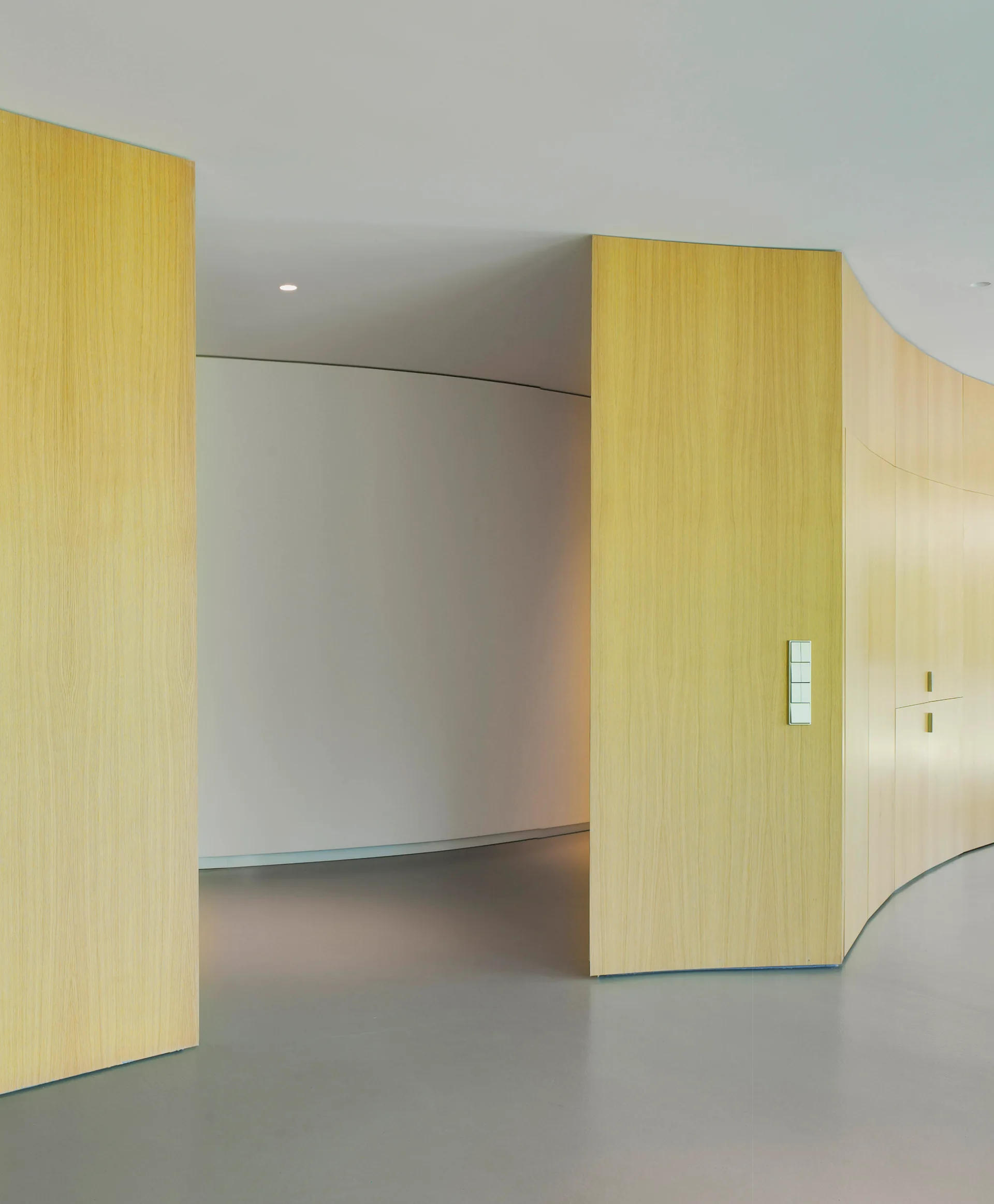 A minimalist hallway features curved light wood wall paneling, a smooth grey floor, and a clean white ceiling with recessed lighting.