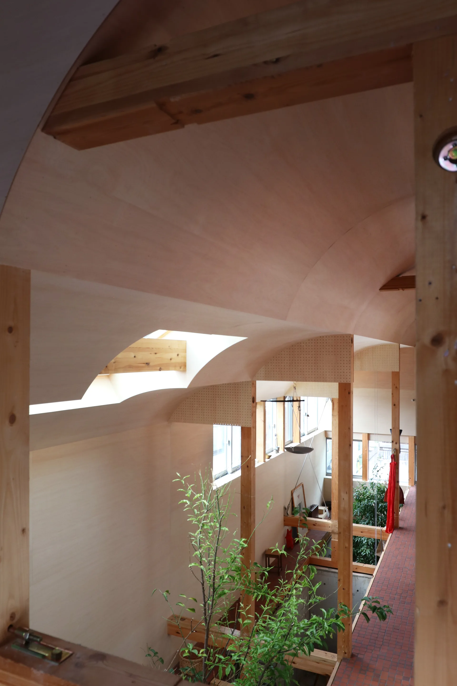 A multi-level interior with a curved, light-wood vaulted ceiling, exposed timber posts, a skylight, and a terracotta tile walkway flanked by green plants.