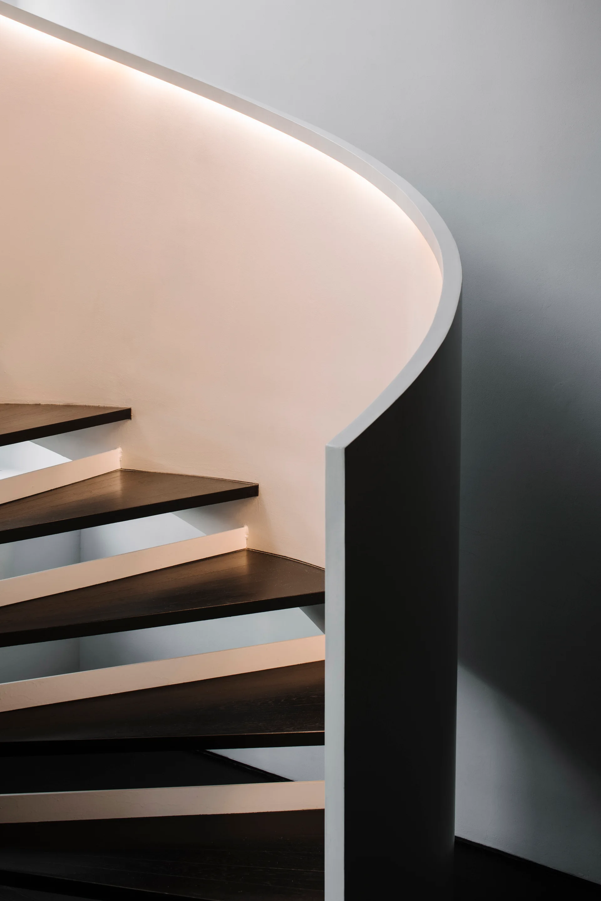 Venus House, Ming Architects, Interior, Stairs