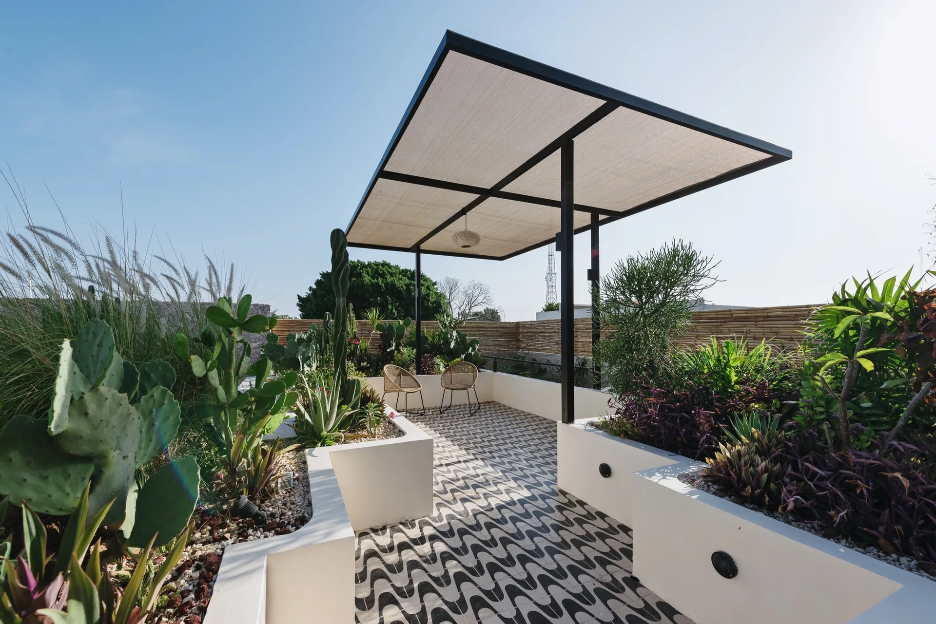 A sunny rooftop patio features wavy patterned tiles, raised white planters filled with cacti, and a black metal-framed shade canopy.