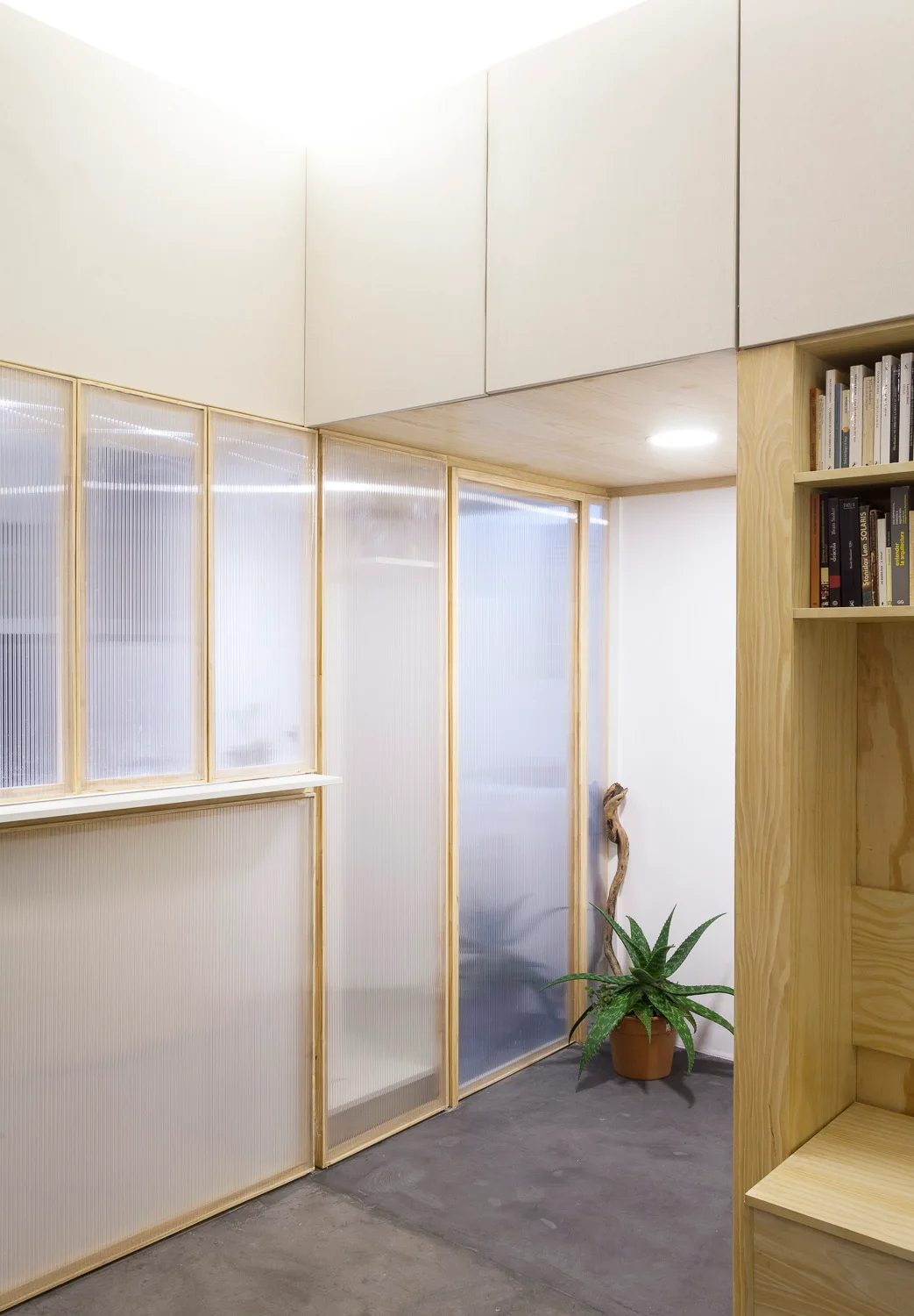 Thea Space, IR arquitectura, Shelving, Windows