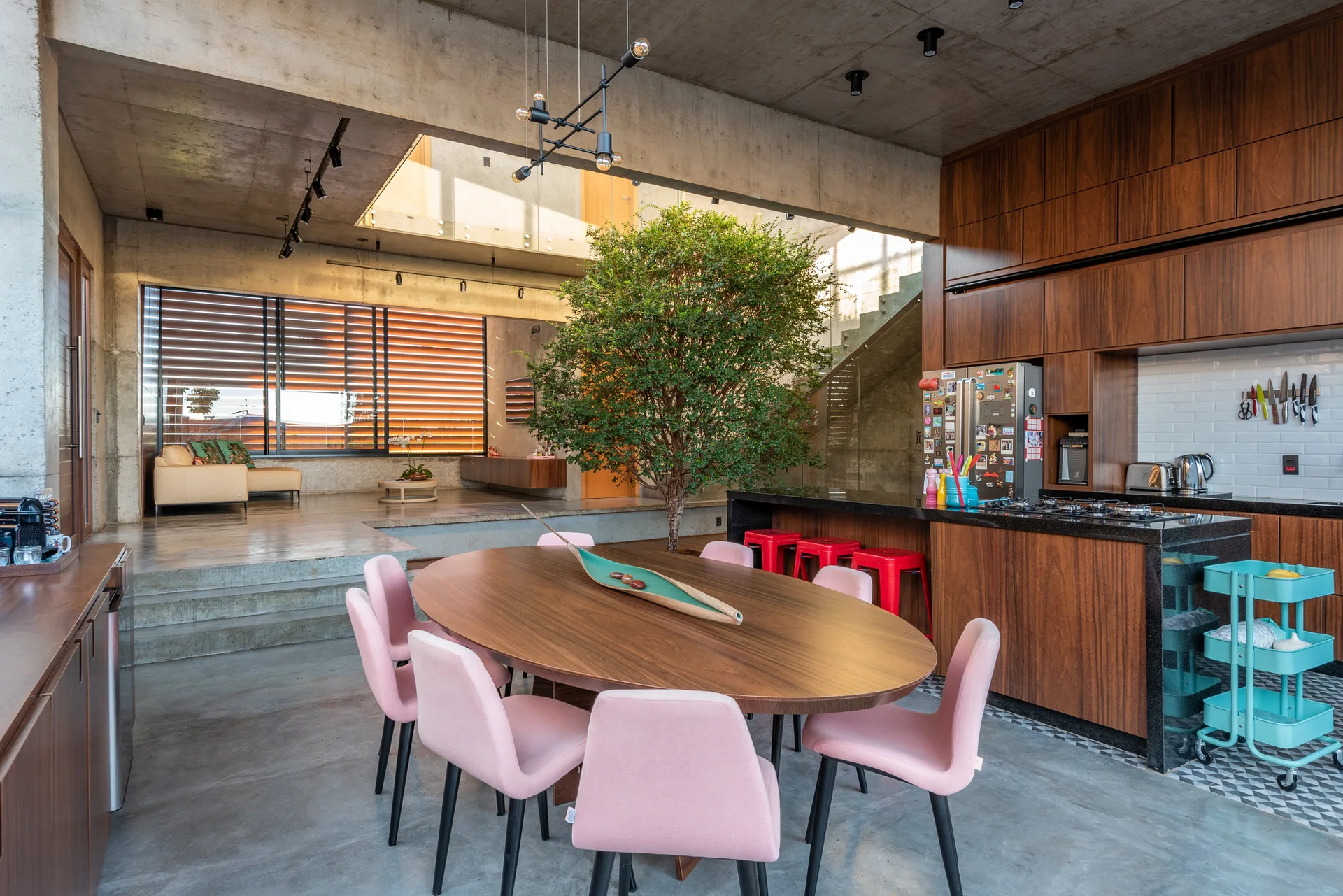 An open-plan dining space and kitchen features a wooden oval table with pink chairs, a concrete ceiling, and a large indoor tree growing in the center.