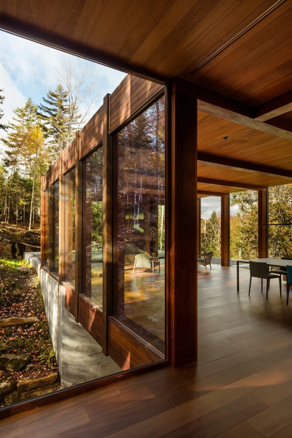 A modern glass-walled dining and living area features warm wood-plank ceilings and floors with views of the surrounding autumn forest.