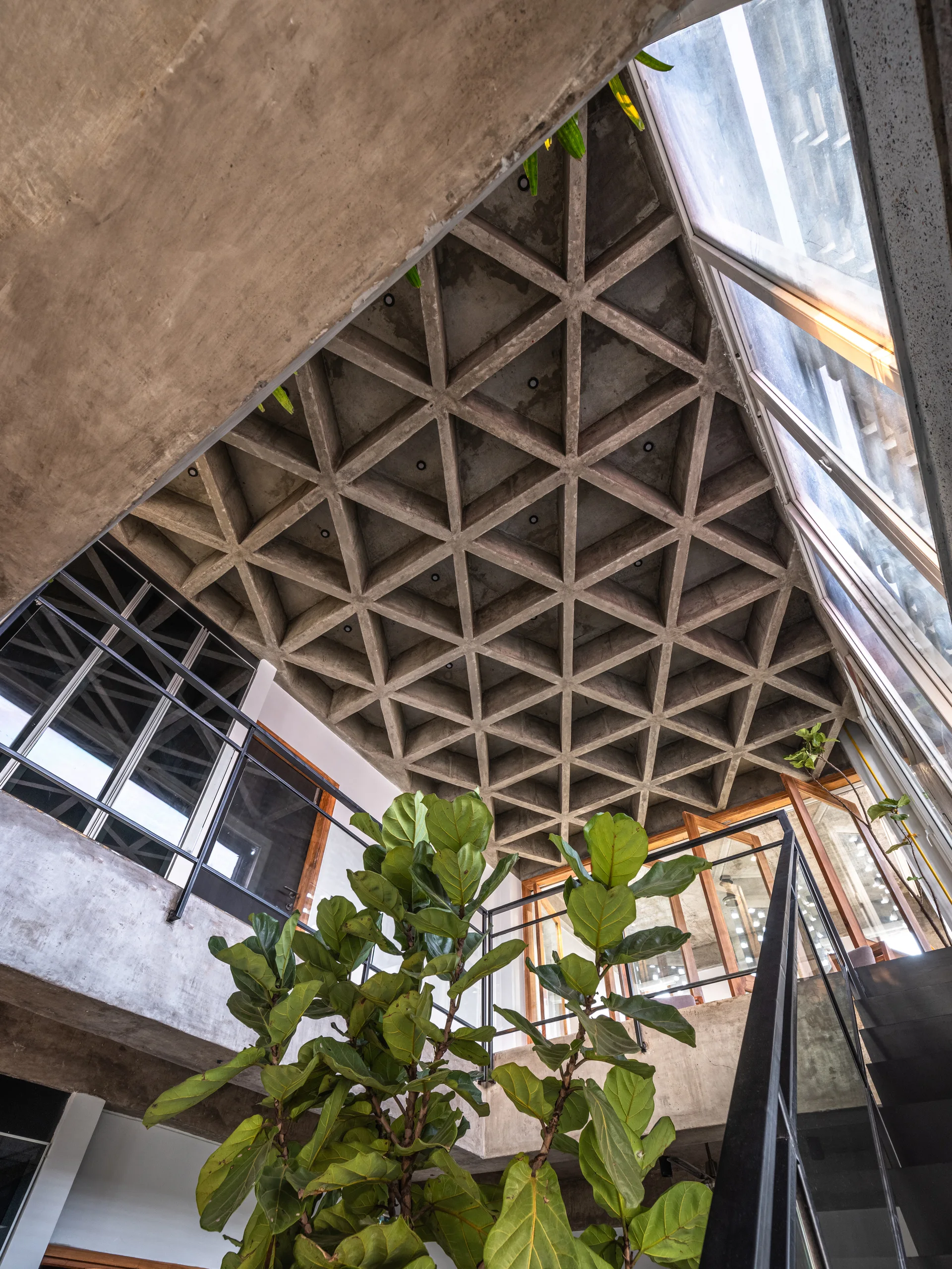 Looking up at a triangular concrete coffered ceiling in a modern stairwell with black metal railings and a tall green potted plant.