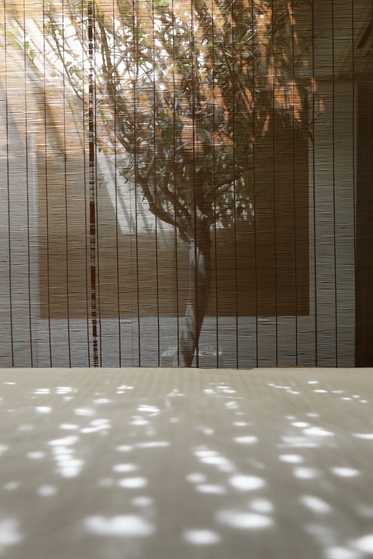 A vertical bamboo roll-up screen filters natural sunlight from a window, projecting soft dapple patterns onto a light floor.