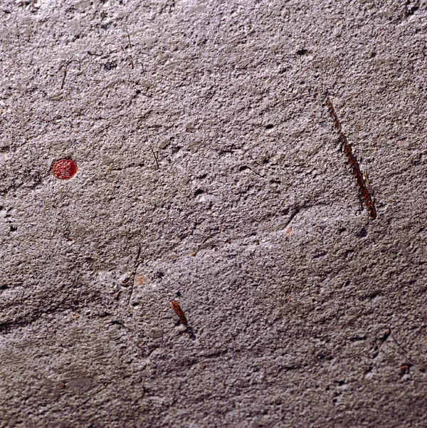 An extreme close-up of a highly textured, coarse grey concrete surface featuring a tiny round red marker embedded on the left side.
