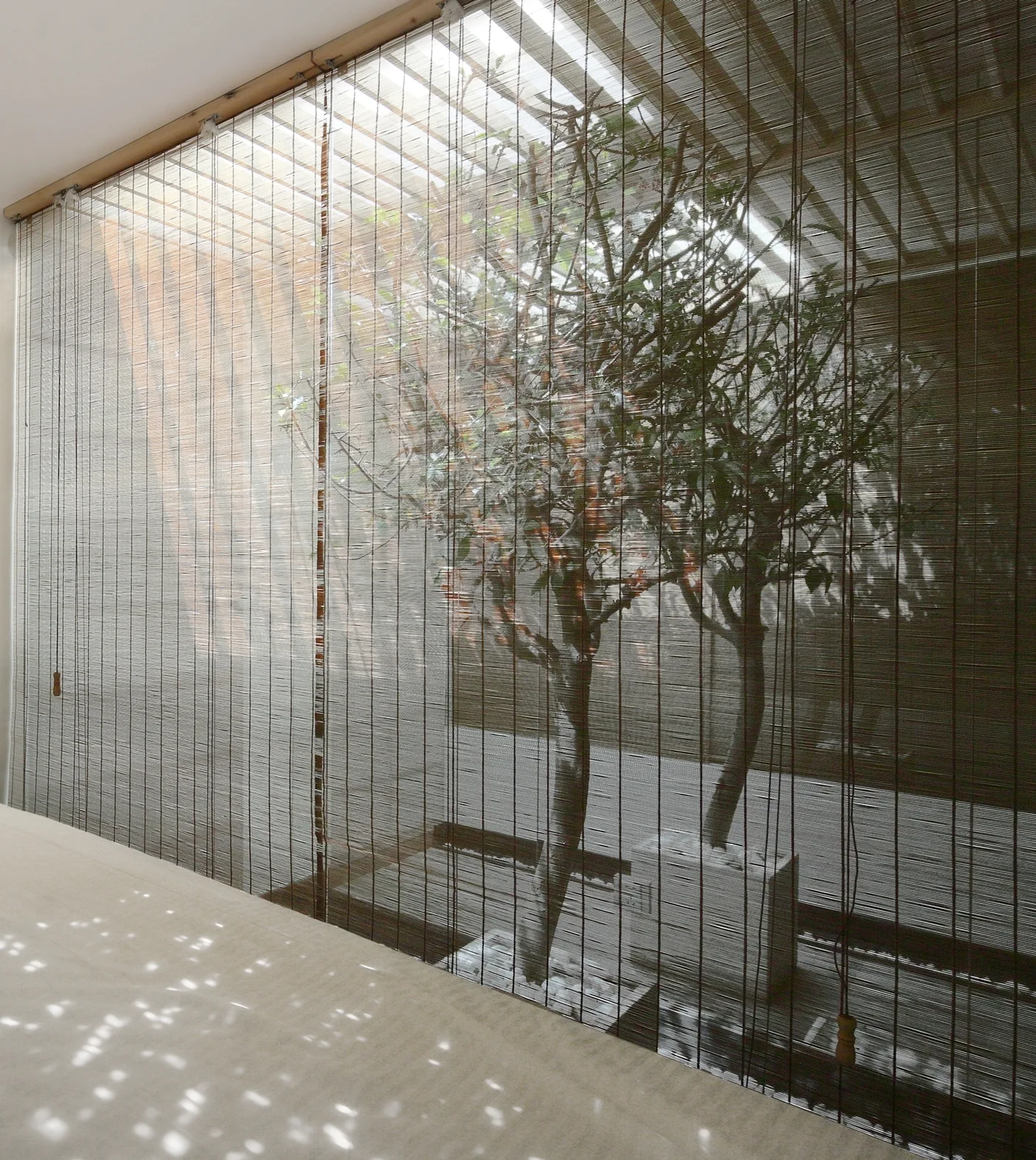 A tall, slatted bamboo screen filters natural light in a minimalist interior, partially revealing two potted trees in an atrium.