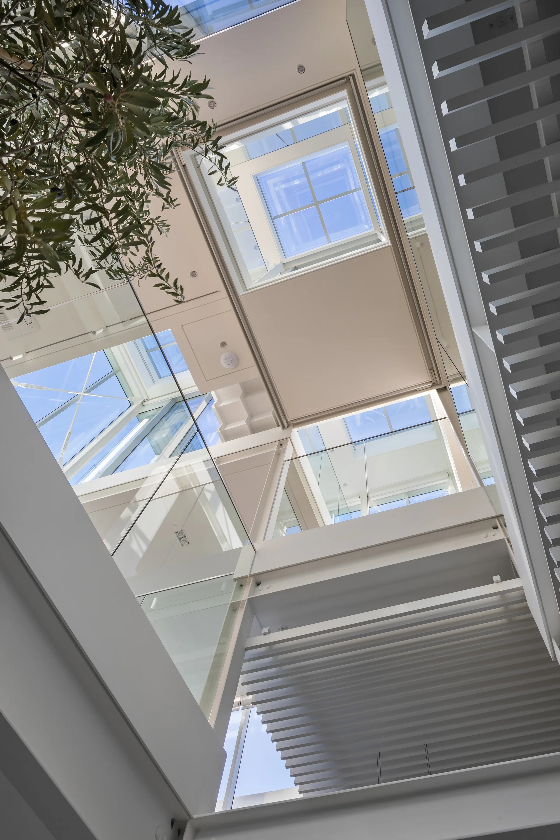 Looking up through a multi-story atrium with square skylights, a glass railing, white slatted stairs, and green leaves in the corner.