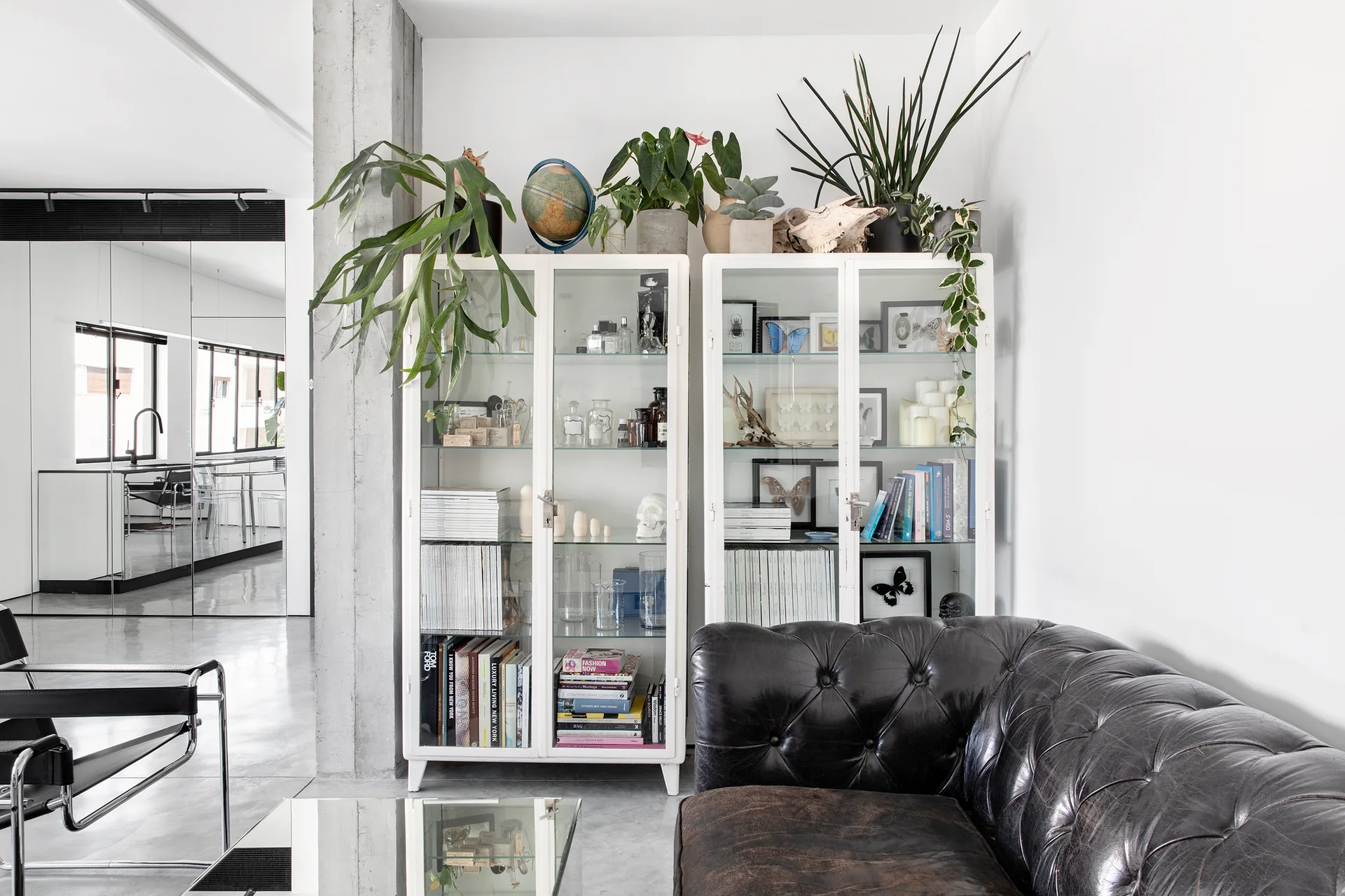Mirror Maze Apartment, YAEL PERRY | INTERIOR DESIGNER, Interior, Shelving