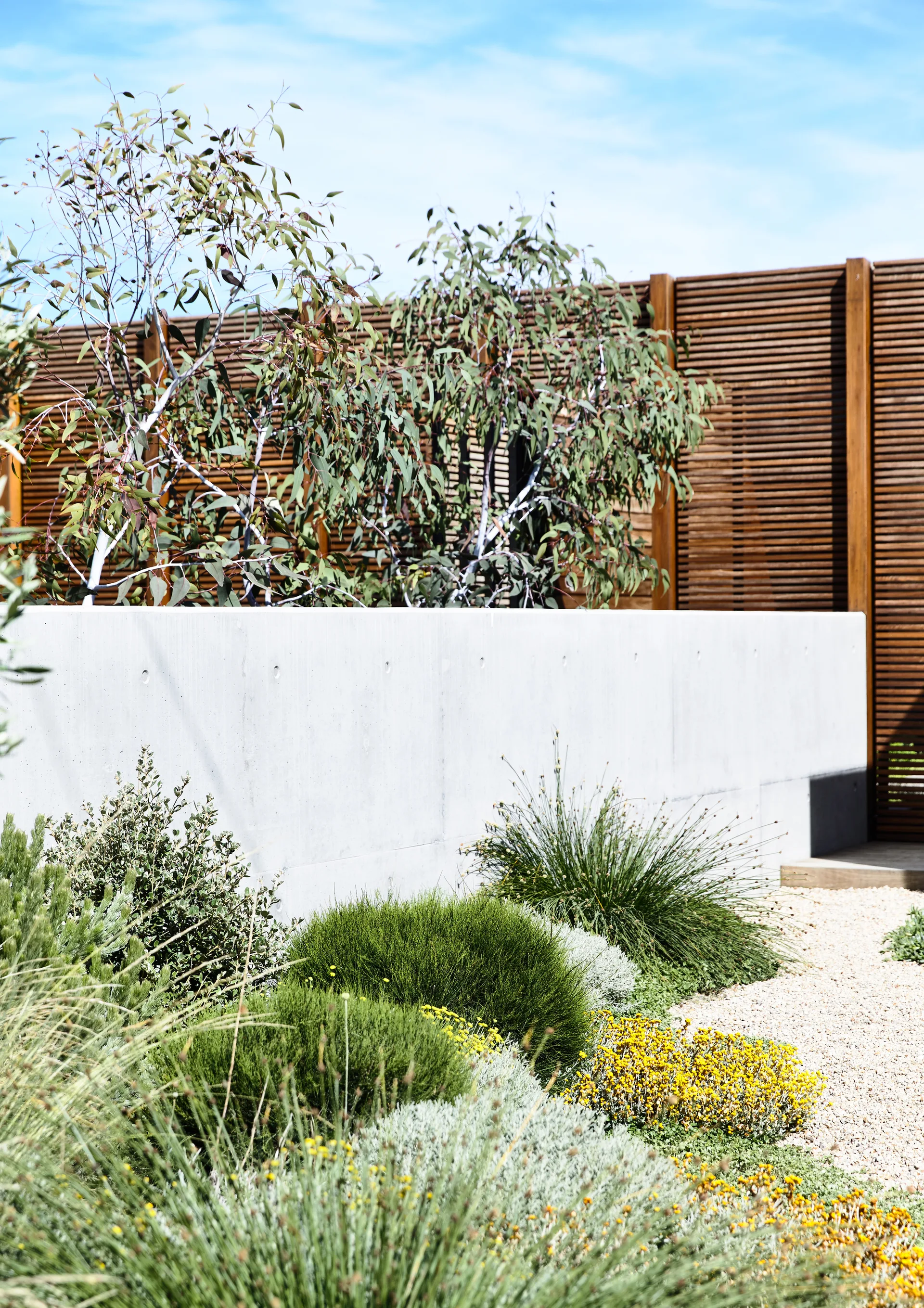 DS House, Planned Living Architects, Garden