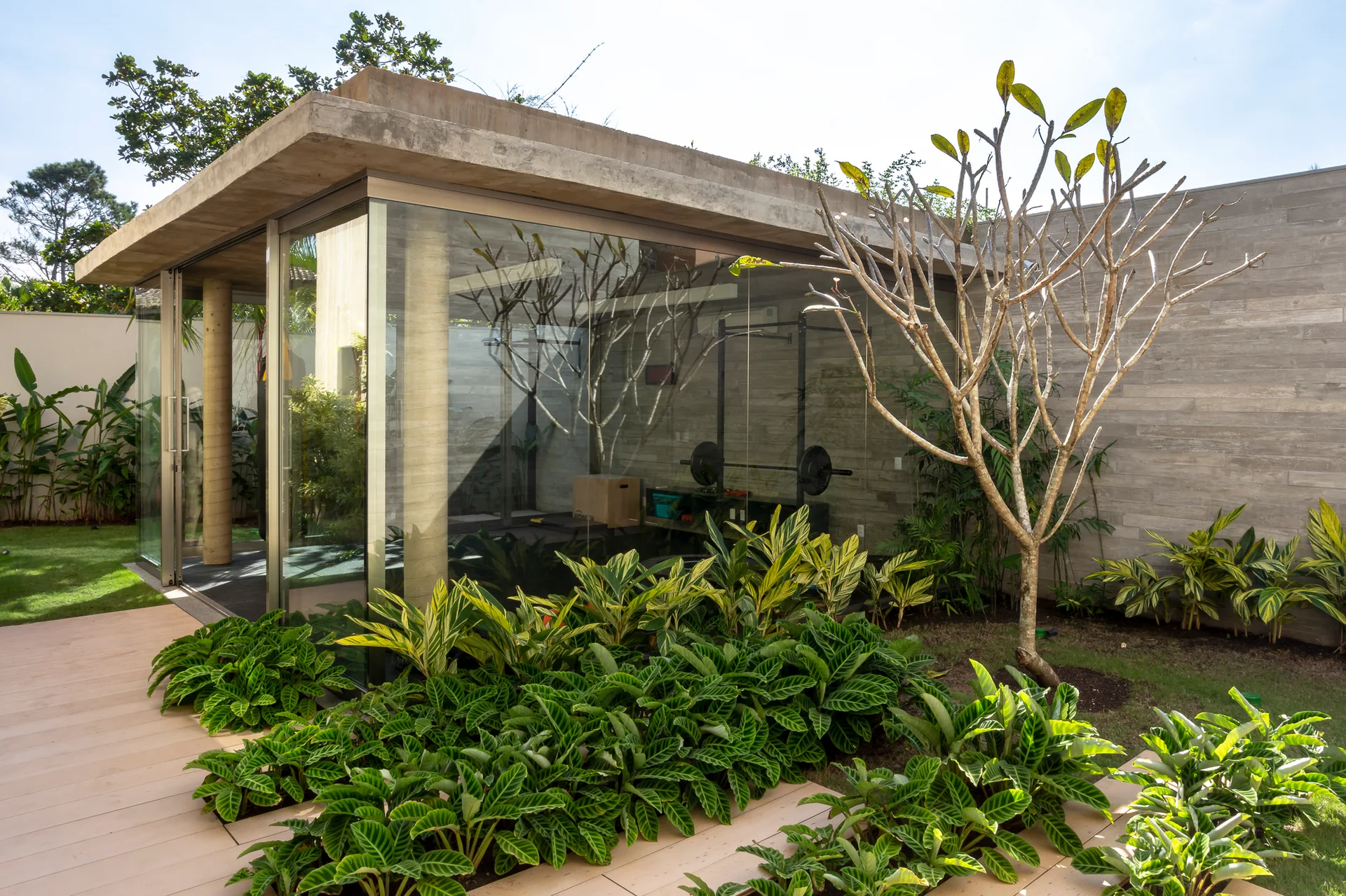 A modern glass-walled home gym with a concrete roof sits in a landscaped garden next to wood decking and leafy green plants.