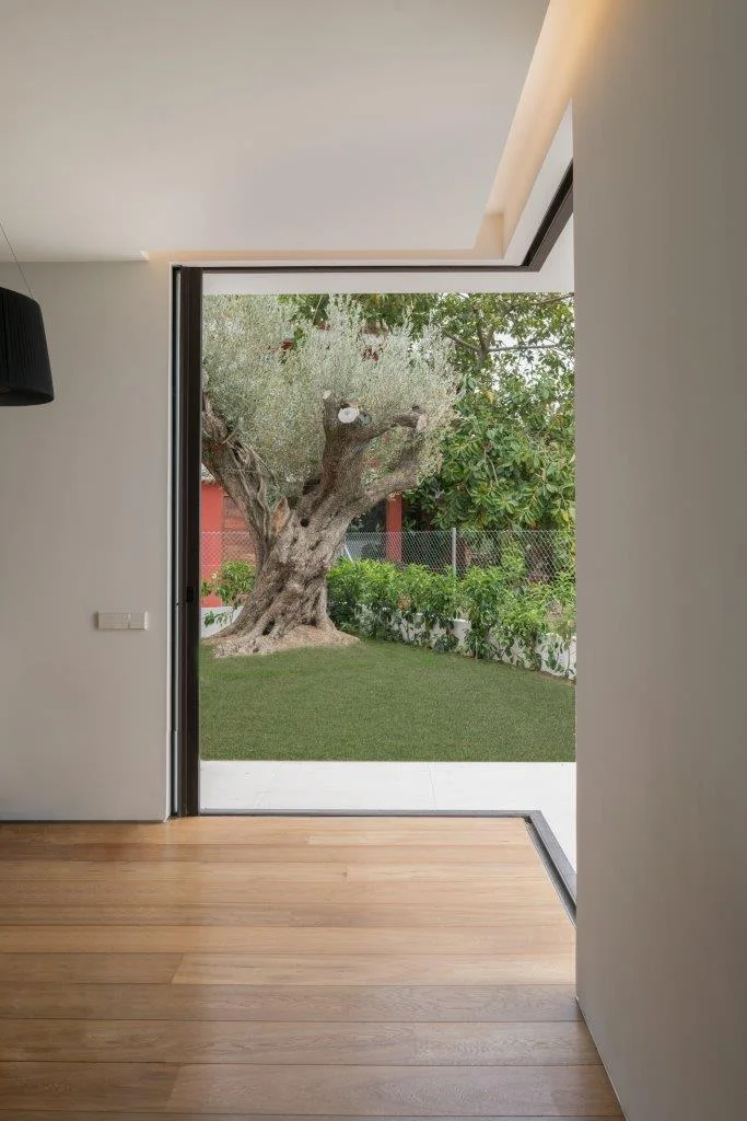 A minimalist room with light wood floors and white walls features a wide corner sliding glass door open to a green lawn with a large olive tree.