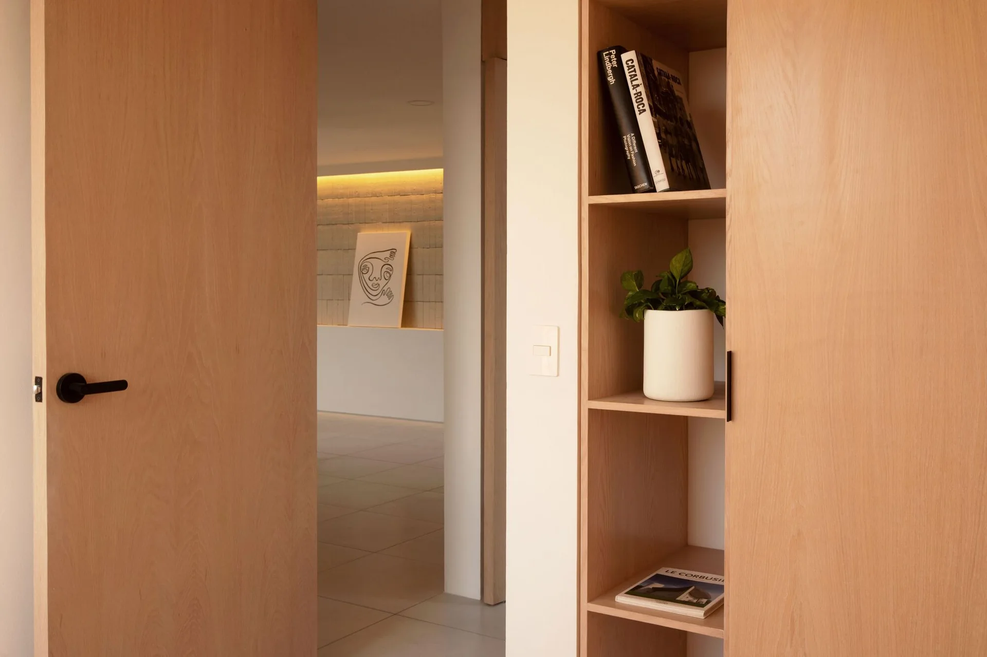 An open light wood closet door reveals integrated shelving with books and a potted plant next to a hallway doorway.