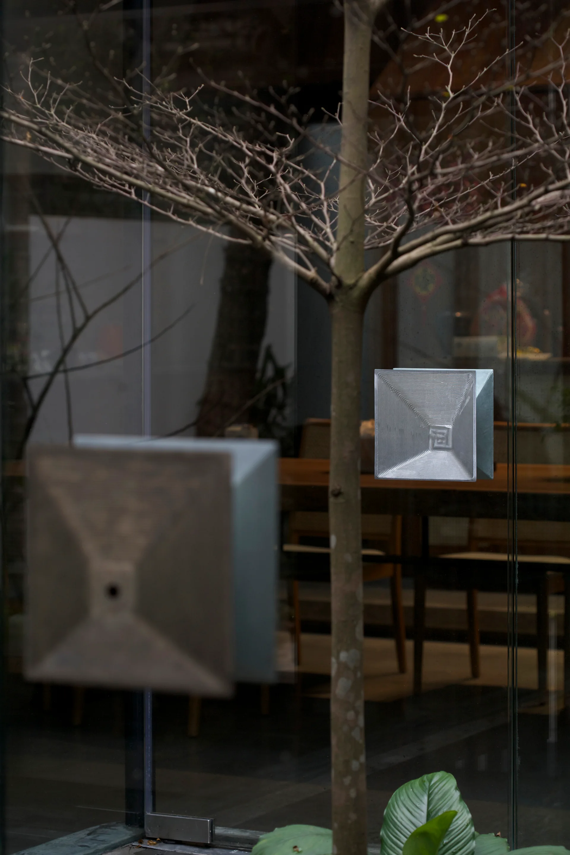 Two square metallic door handles with concentric geometric patterns are mounted on a transparent glass entryway door near a slender tree.