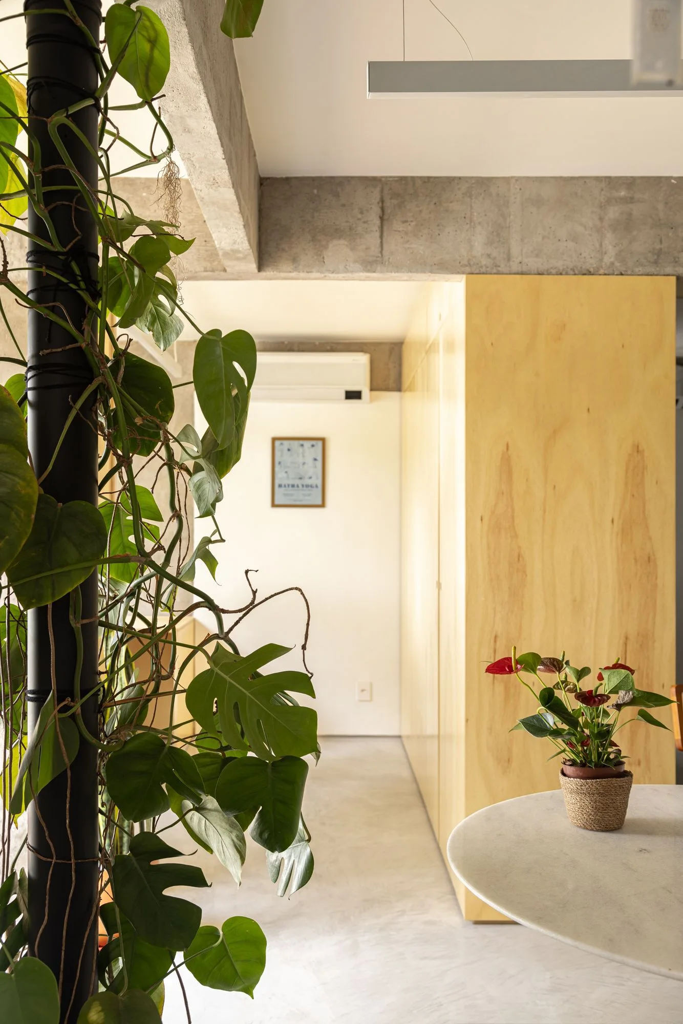 A minimalist interior features climbing monstera vines, an exposed concrete beam, and warm plywood cabinetry.