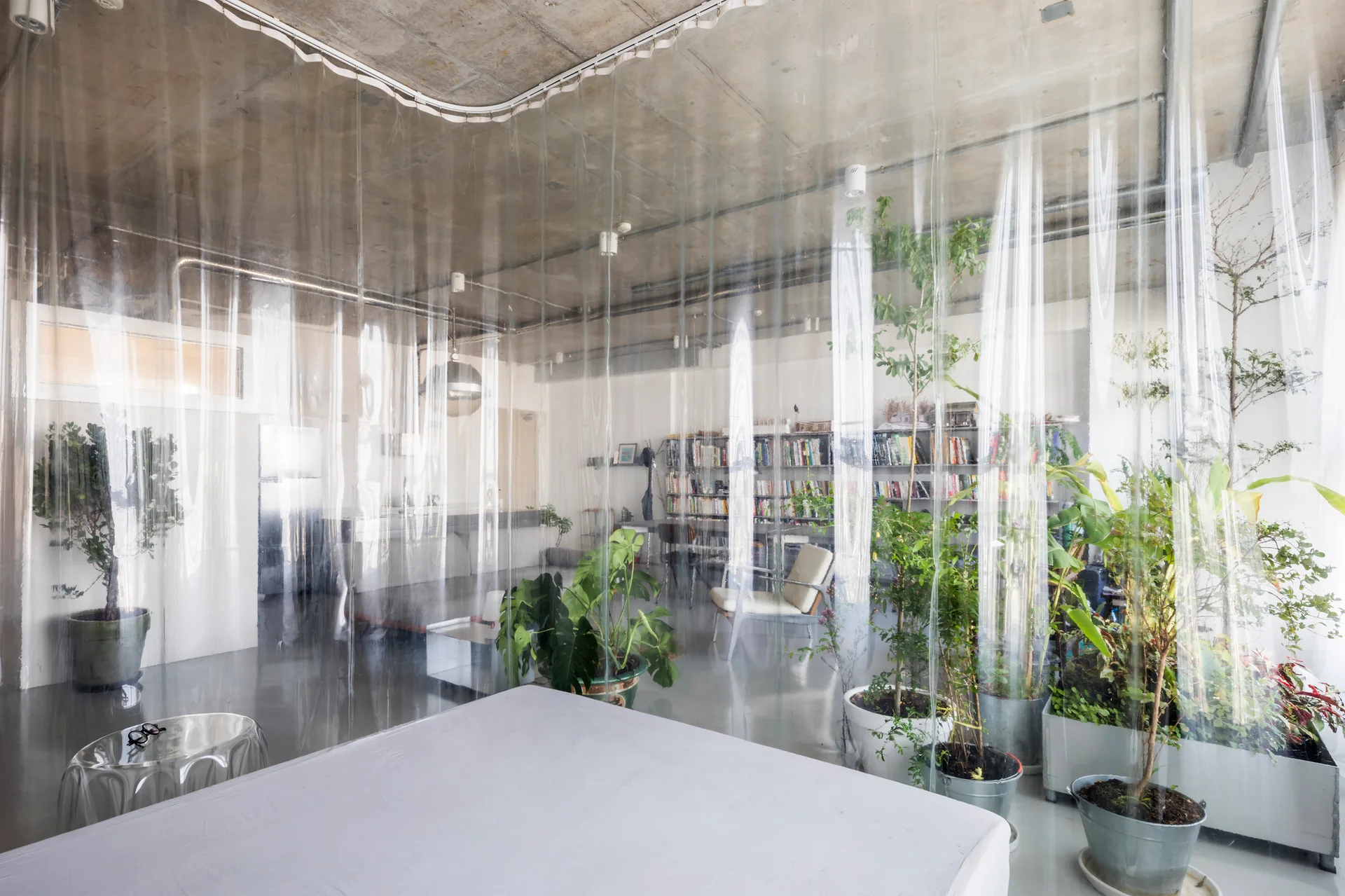 An industrial loft interior featuring an exposed concrete ceiling, various potted plants, and a curved, transparent plastic partition curtain.