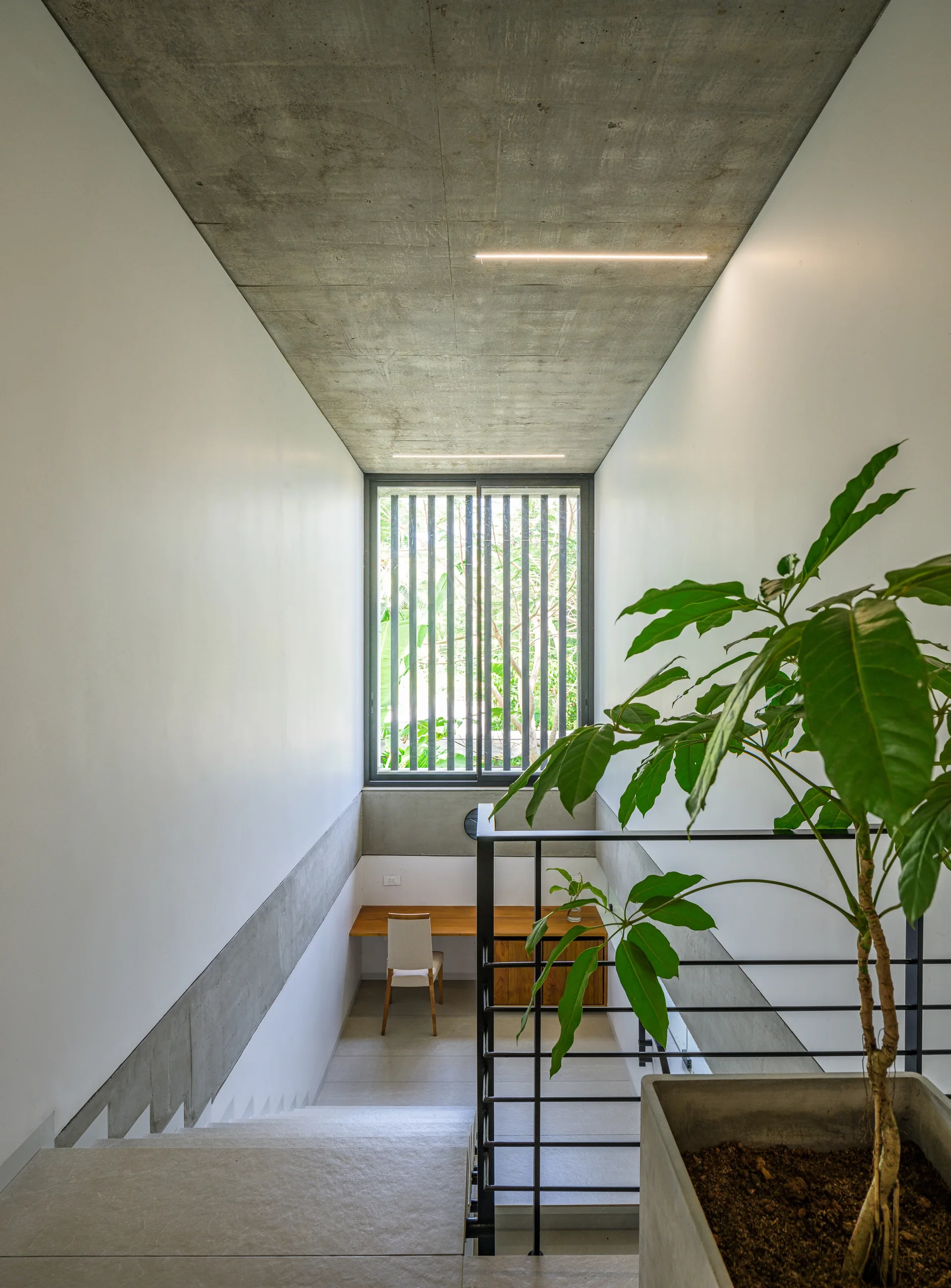 Looking down a concrete and white staircase toward a built-in wood desk, featuring a black railing, a potted plant, and a louvered window.