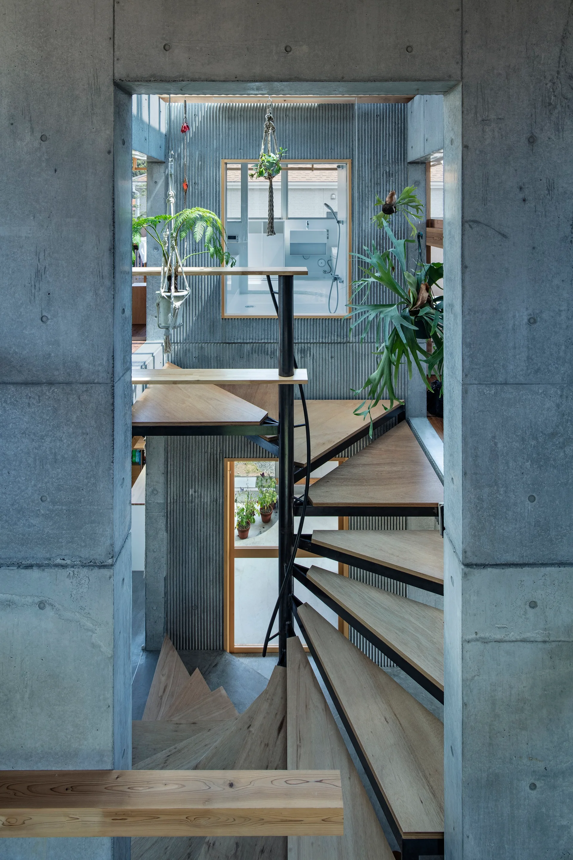A view through a raw concrete frame of a spiral staircase with wood treads and black metal spine, surrounded by corrugated walls and hanging plants.
