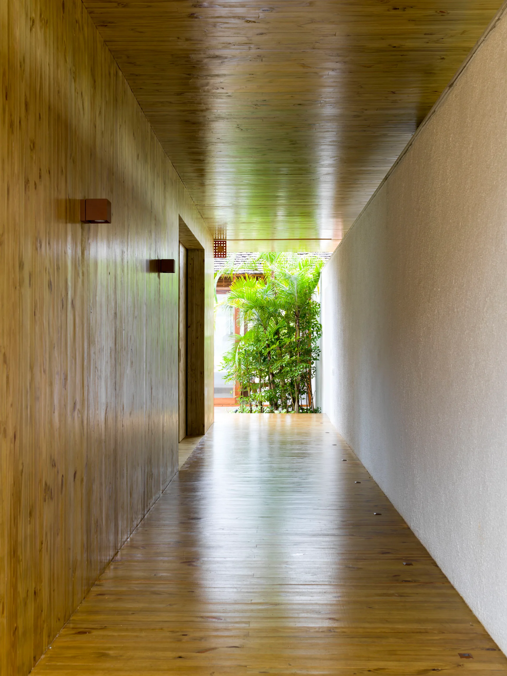 A long minimalist hallway features polished wood flooring, a matching wood ceiling and left wall, a white plaster right wall, and green plants at the end.