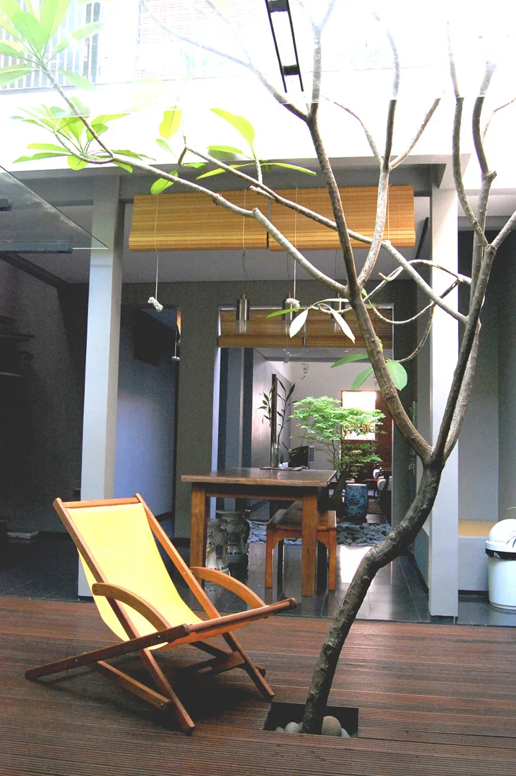 A wooden patio features a yellow folding lounge chair next to a living tree trunk growing through a neat cutout in the deck floor.