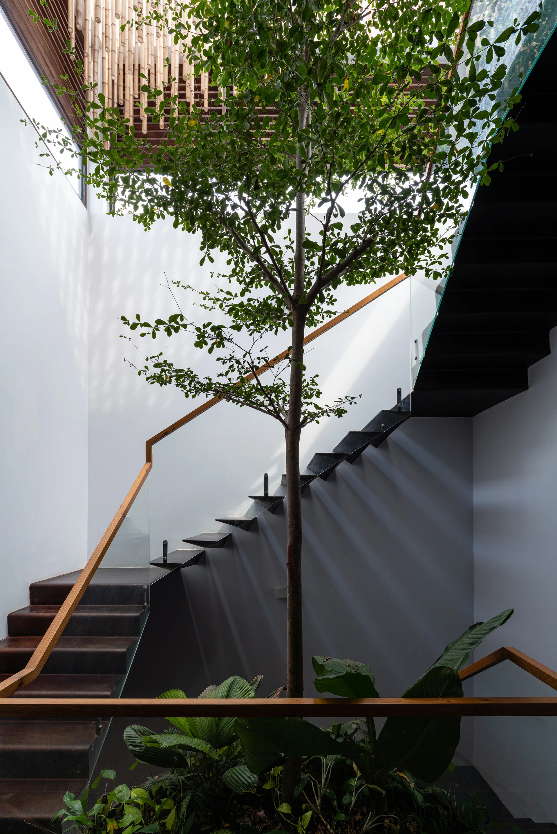 A minimalist floating staircase wraps around a slender indoor tree under light filtering through an overhead bamboo screen.