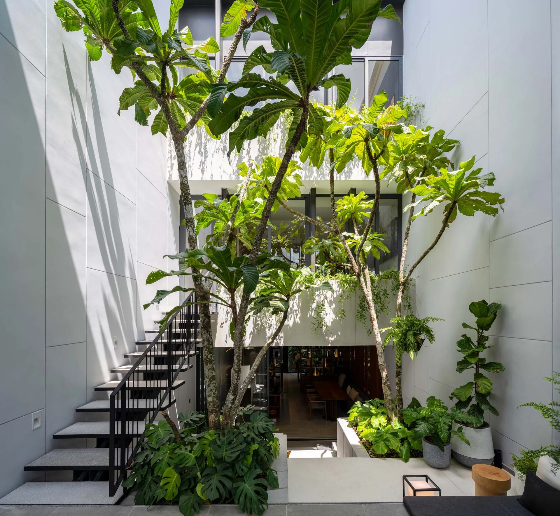 A modern outdoor courtyard featuring tall leafy trees planted in concrete beds, a black metal staircase, and tall white paneled walls.