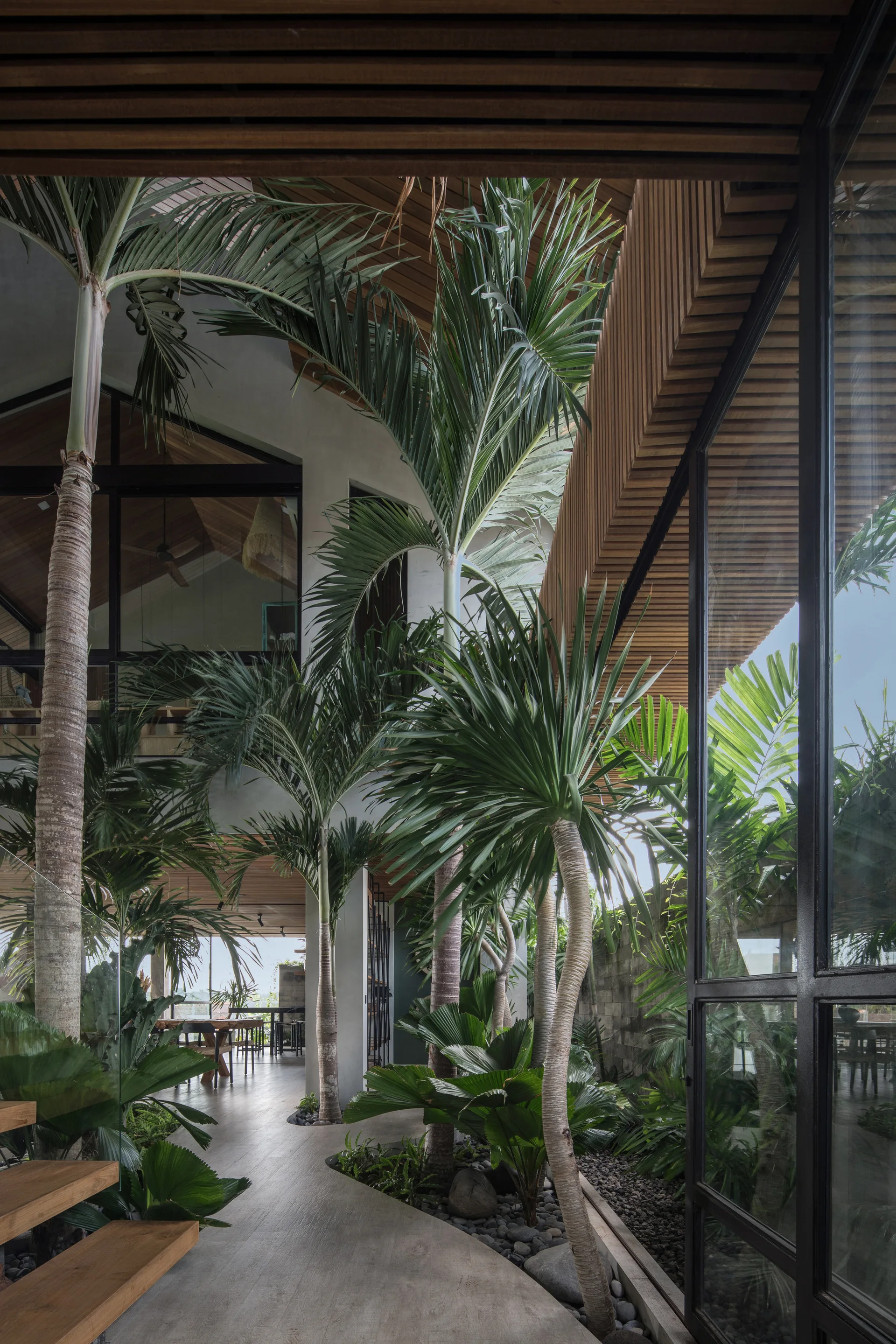 An indoor tropical courtyard features tall palm trees planted in a gravel bed alongside a smooth gray floor, glass walls, and a slatted wood ceiling.