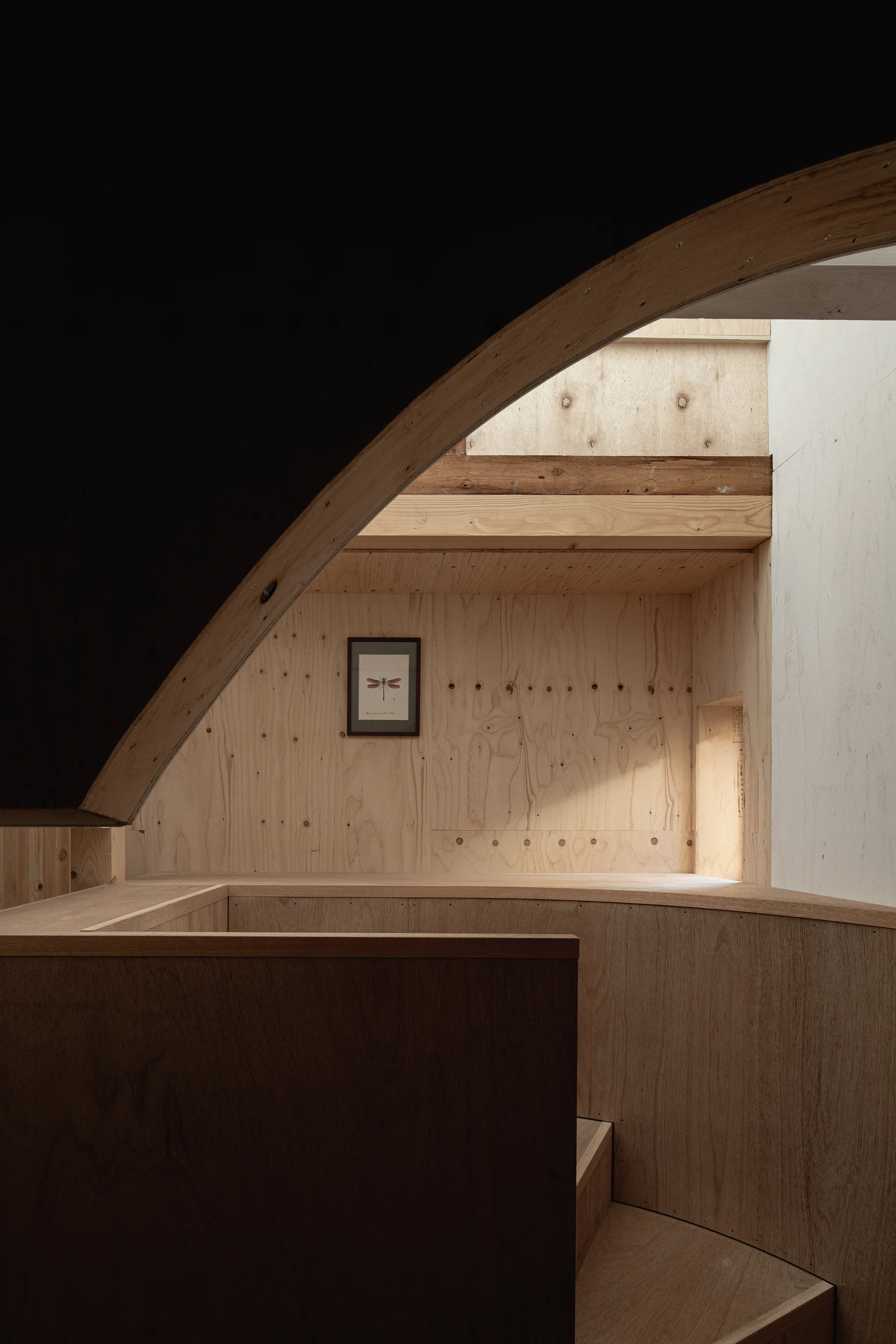 A minimalist wooden staircase and landing built from light plywood panels, featuring a curved wall and a small framed insect print.