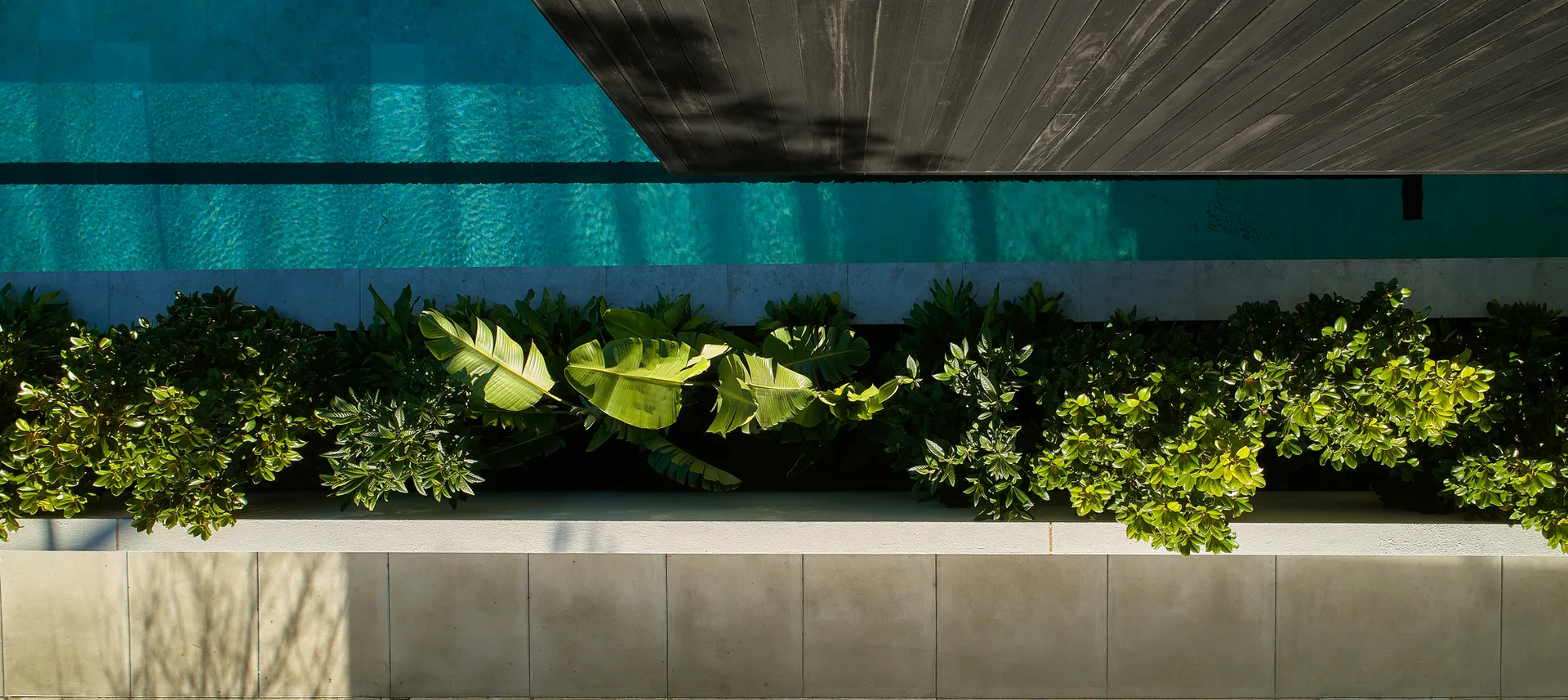An overhead view of a turquoise swimming pool lined with dark timber decking, tropical green plants in a narrow bed, and light stone pavers.