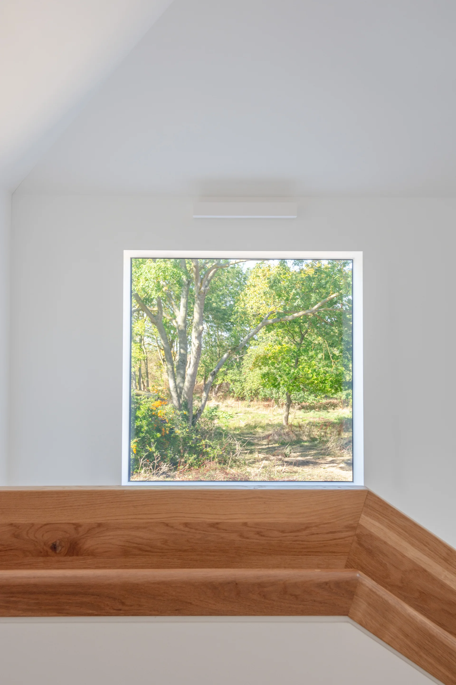A square window framing green trees stands above a thick oak handrail on a bright white minimalist staircase landing.
